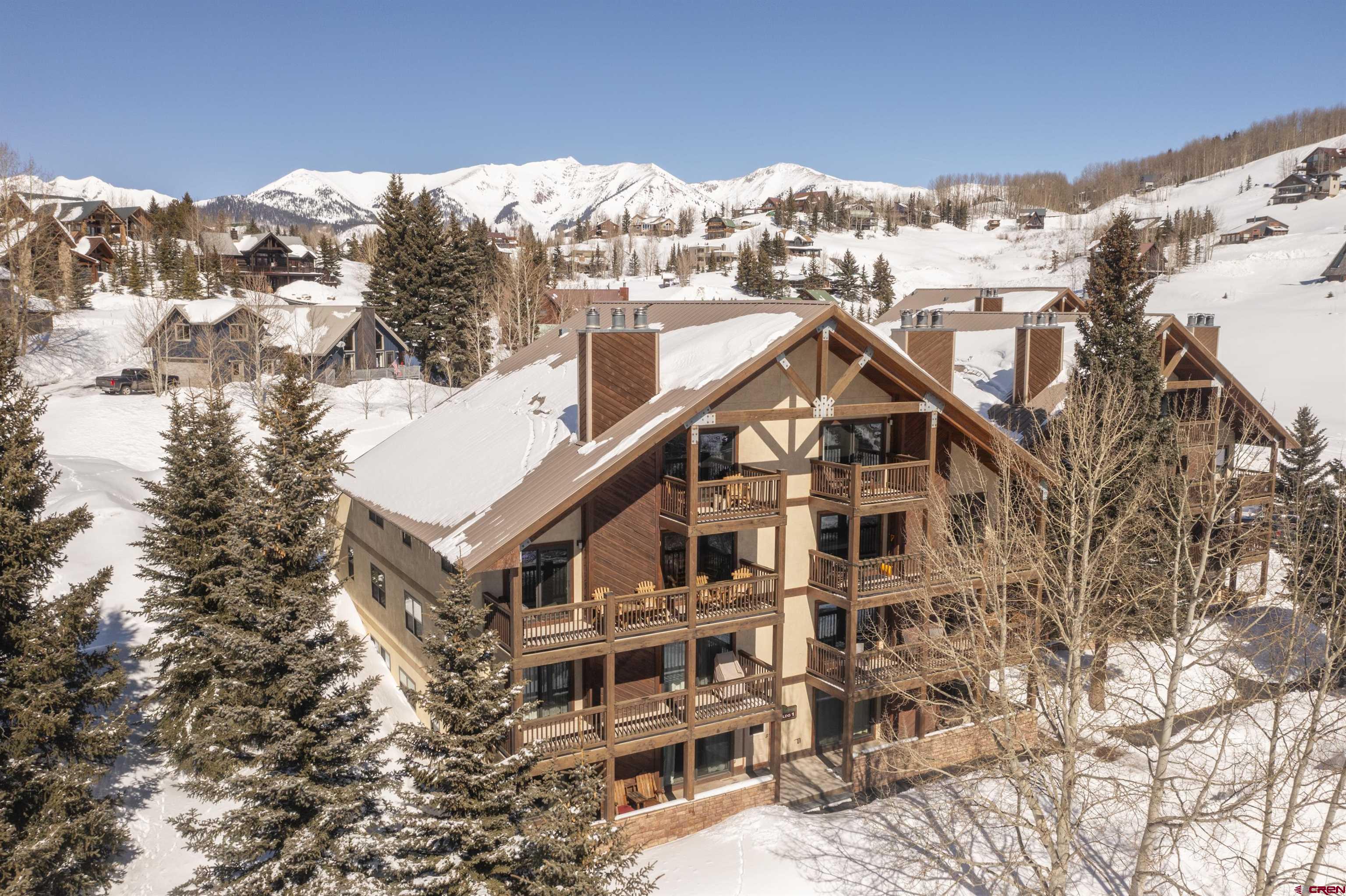 17 Treasury Road, Mt. Crested Butte, CO 
