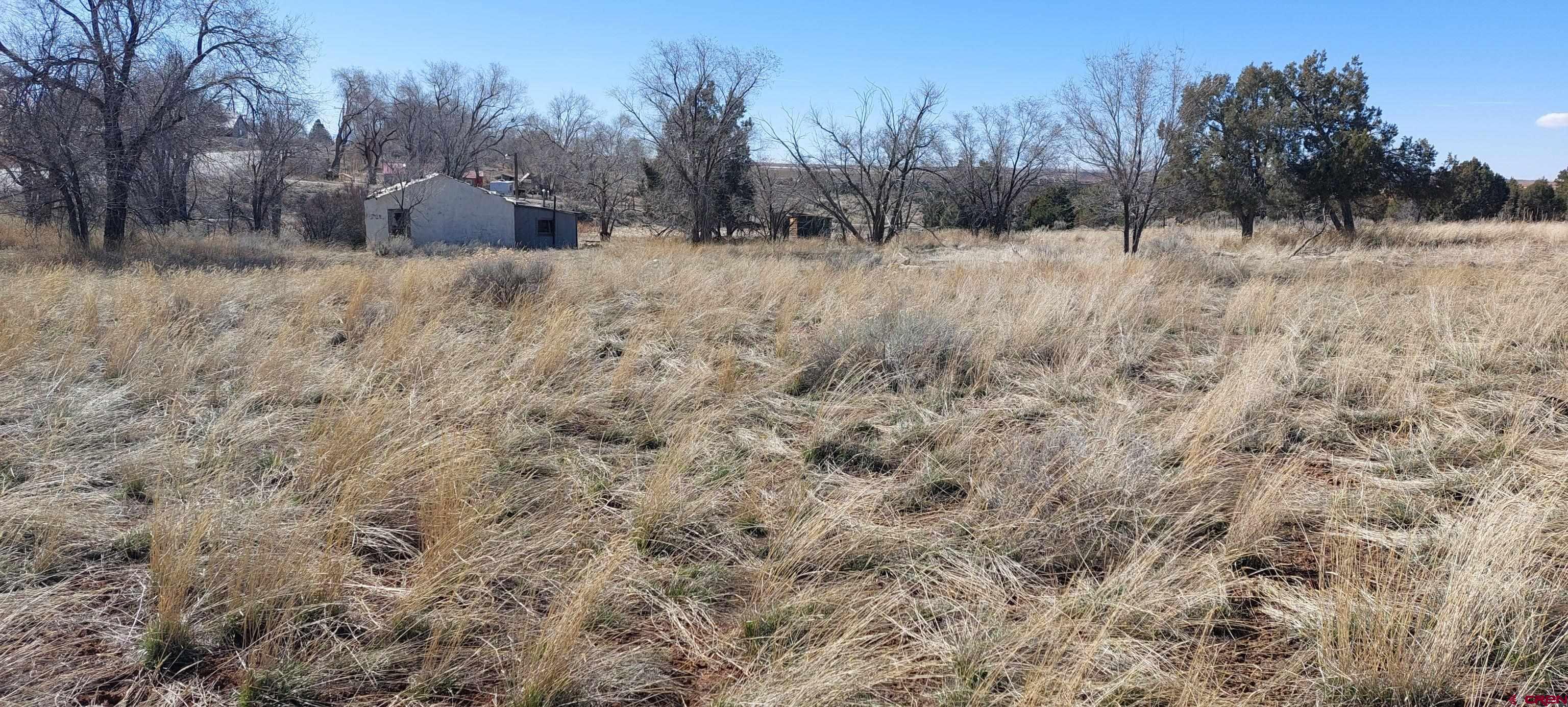 51981 Highway 491 Highway Cahone CO 81320 Active