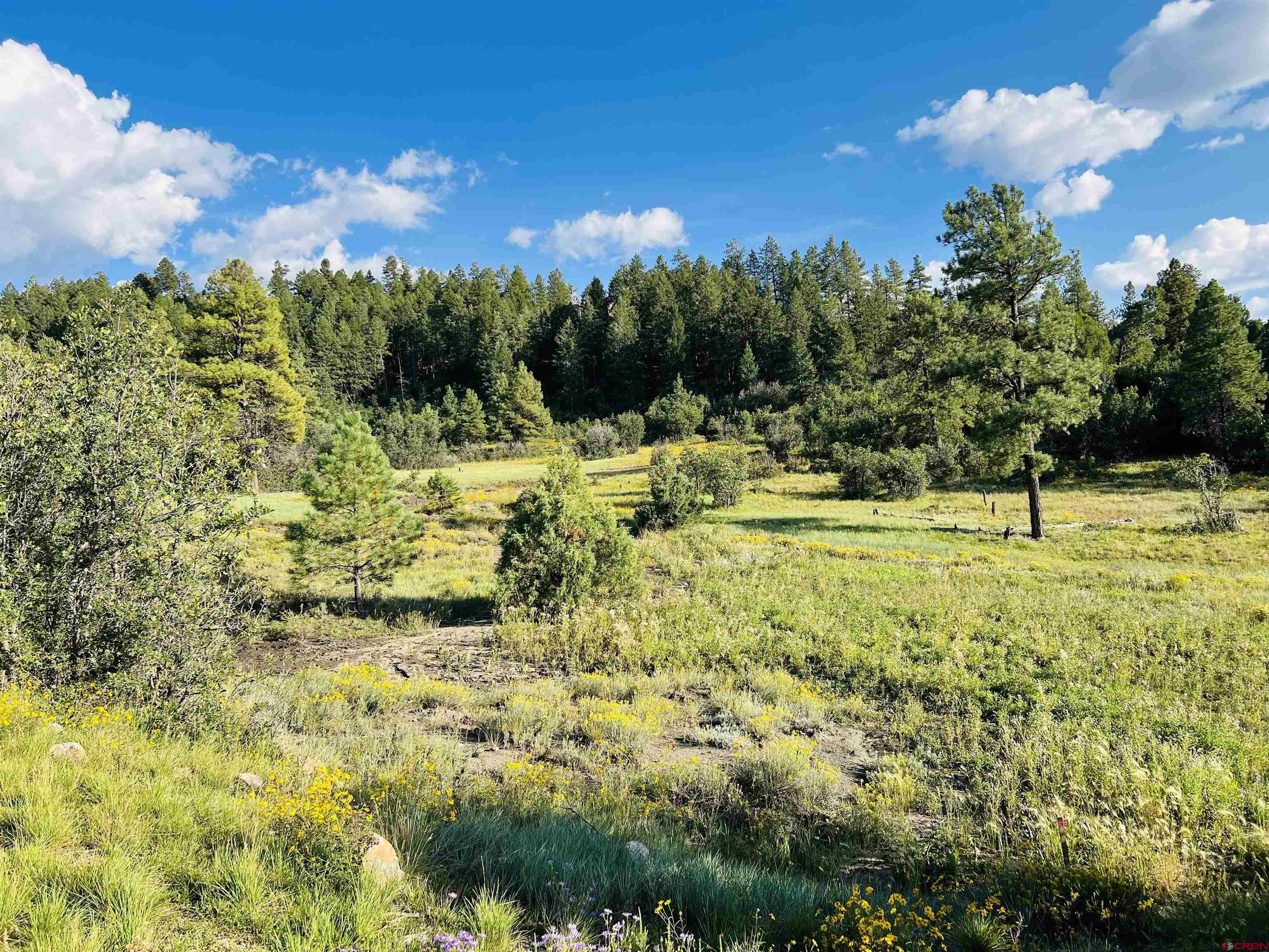 251 Rifle Place, Pagosa Springs, CO 