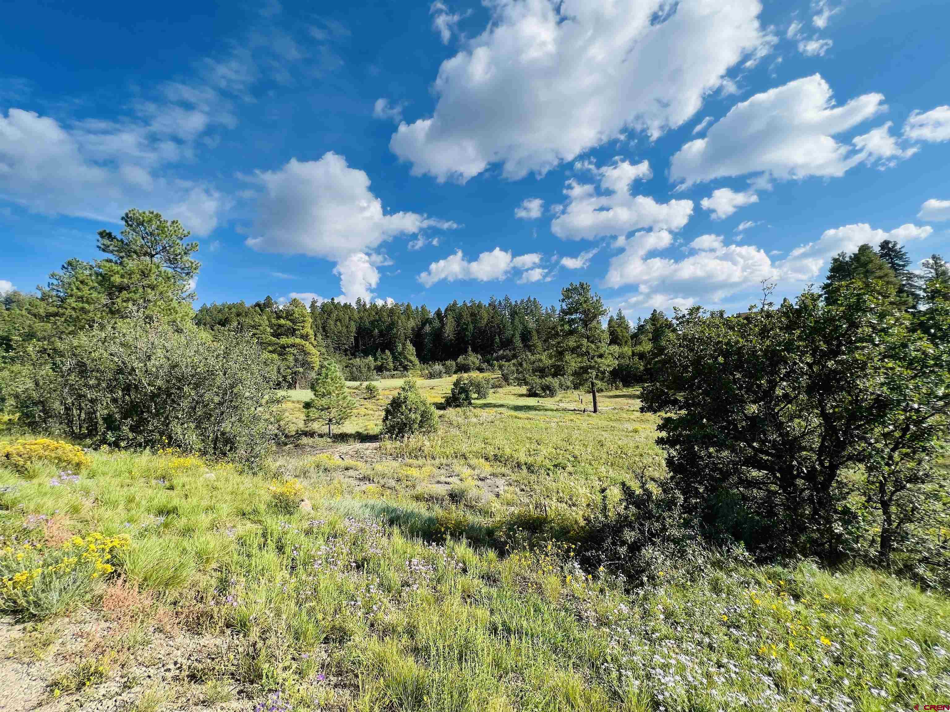 251 Rifle Place, Pagosa Springs, CO 81147 Listing Photo  4