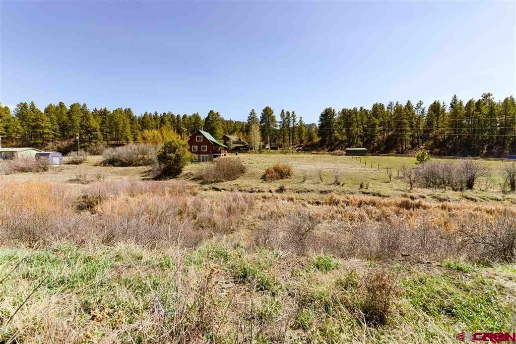 10200 W US Hwy 160, Pagosa Springs, CO 81147 Listing Photo  2