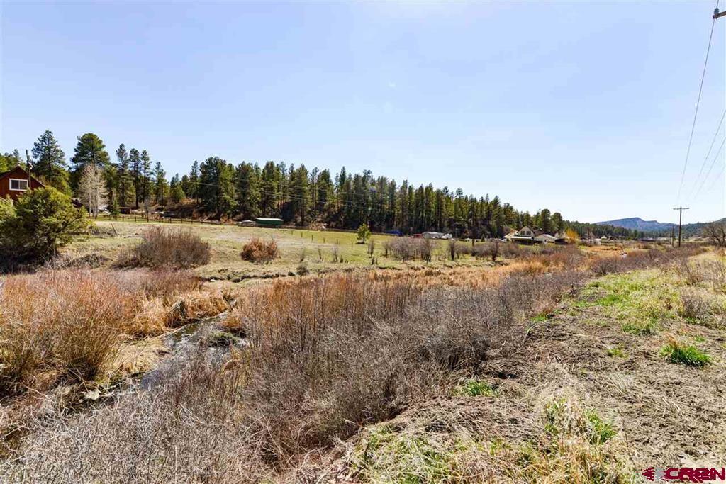 10200 W US Hwy 160, Pagosa Springs, CO 81147 Listing Photo  3