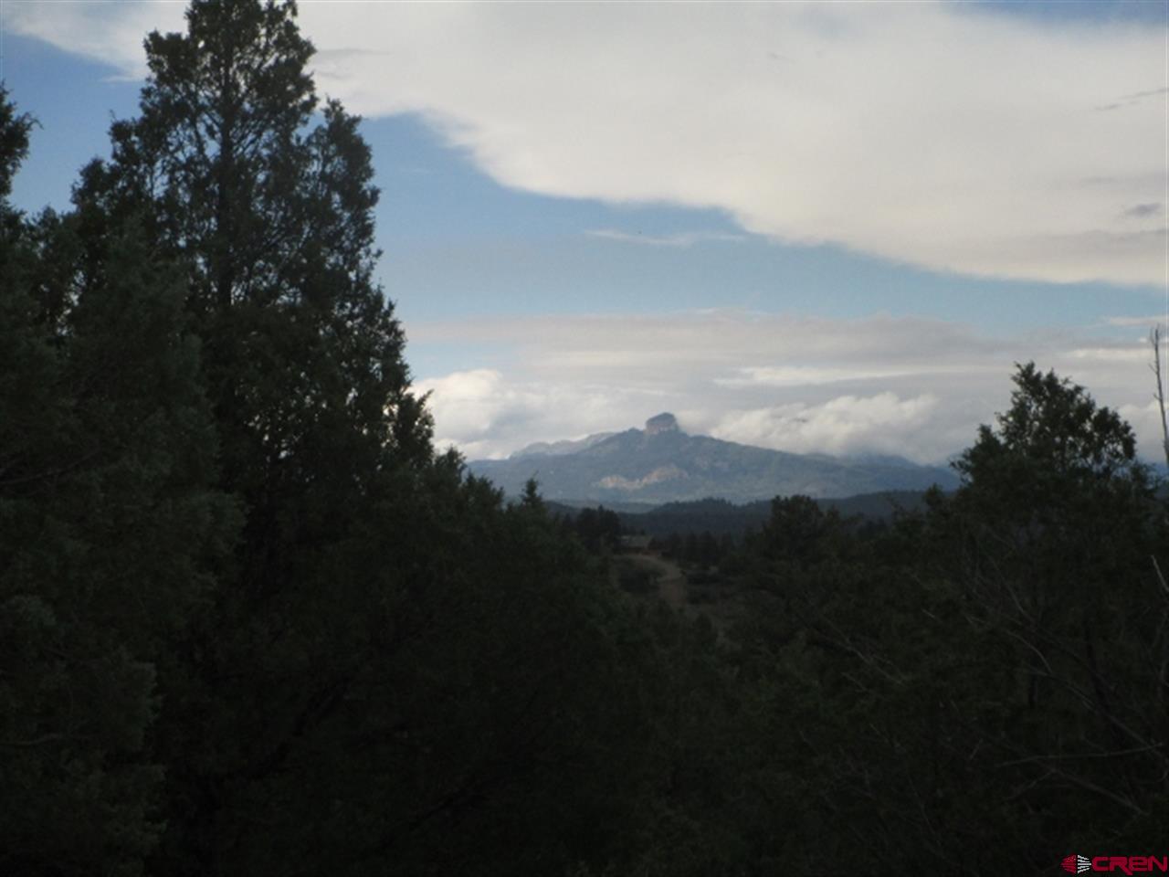 432 Golden Spruce Ct, Pagosa Springs, CO 81147 Listing Photo  20