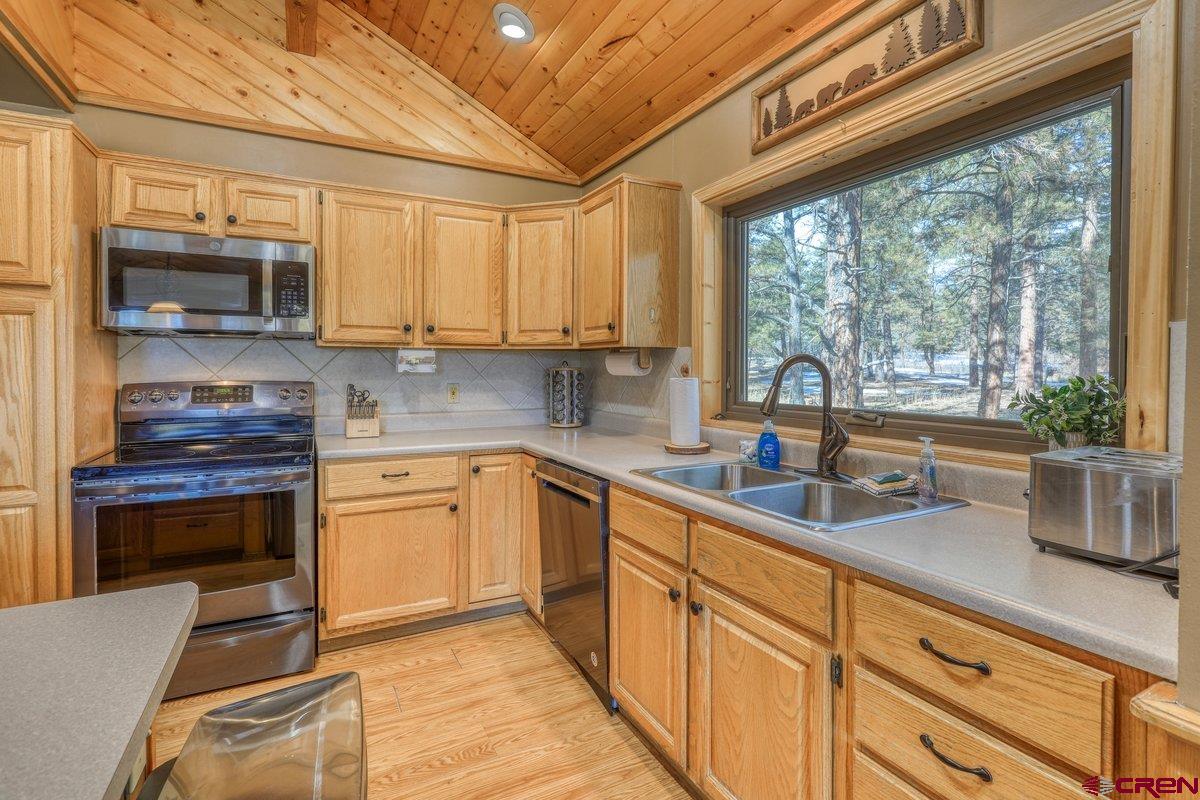 64 Bluebell, Pagosa Springs, CO 81147 Listing Photo  14