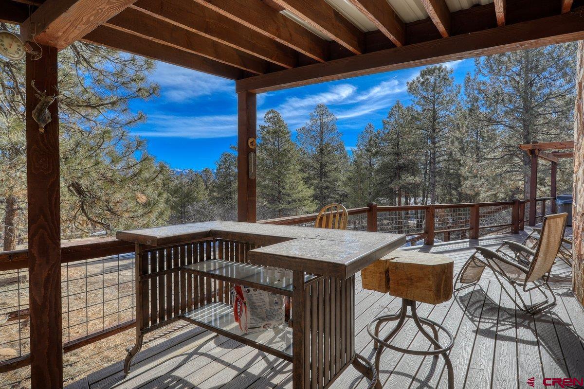 64 Bluebell, Pagosa Springs, CO 81147 Listing Photo  5