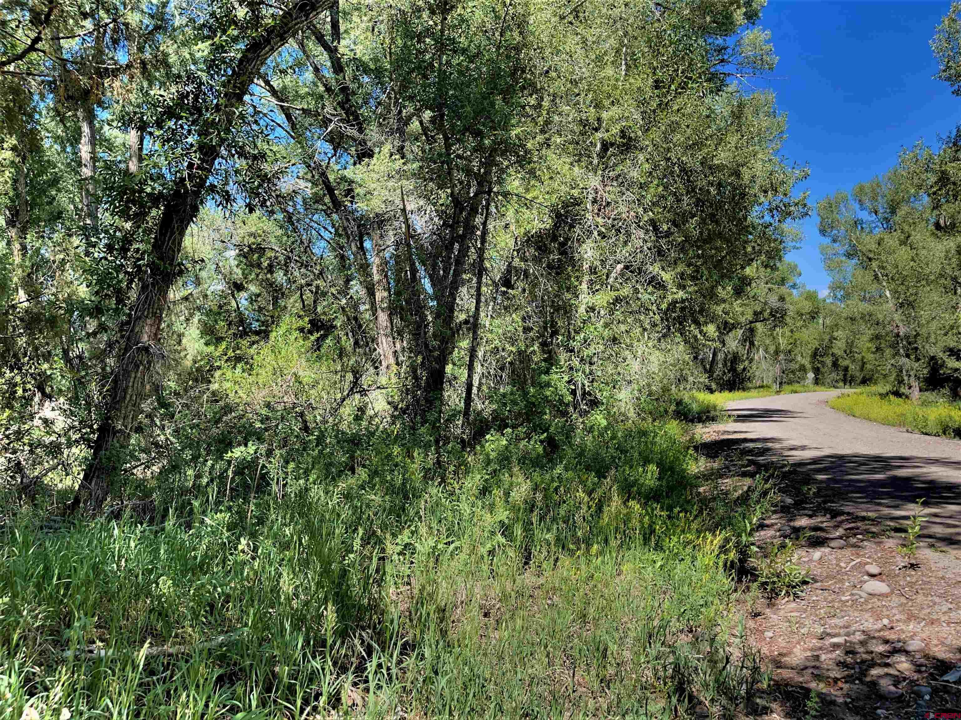 128, 136, 150 Ute Trail, South Fork, CO 81154 Listing Photo  1