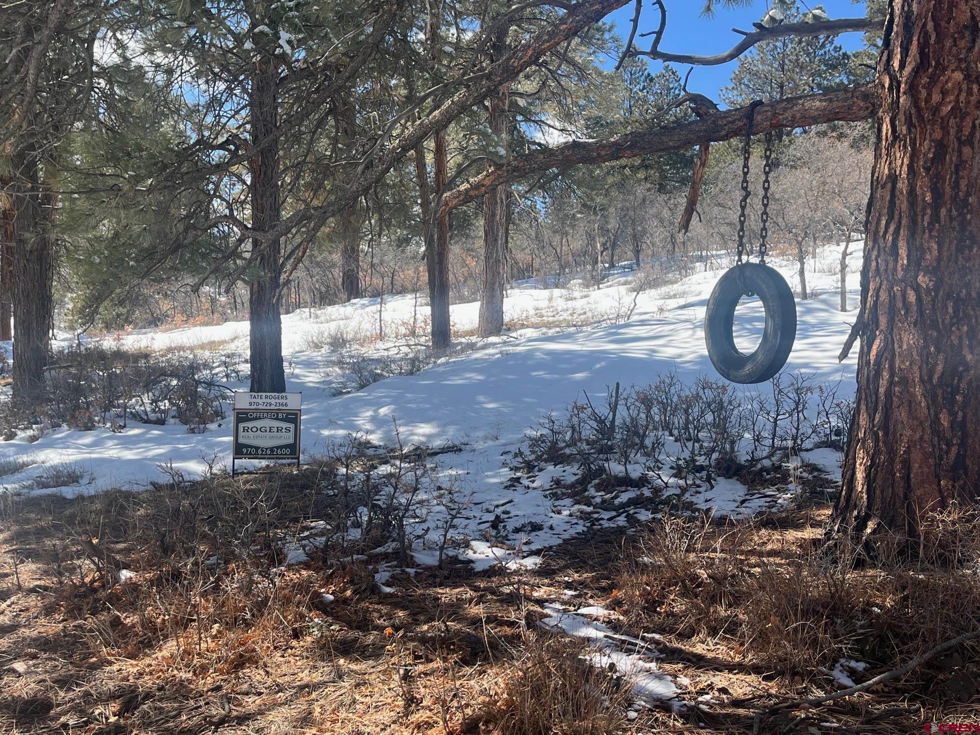 TBD Lot 12 Forest Hill Road, Ridgway, CO 81432 Listing Photo  12