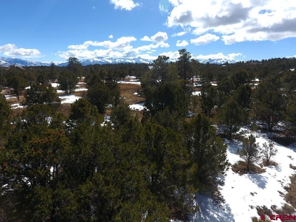 Beautiful lot in Fisher Canyon with ground level peak-a-boo views of Mount Sneffels! Private 4+ acre lot with mature Ponderosa and Pinon Trees.  The Cimarron Mountain Range and San Juan Mountain Range are also seen from this property. This property boasts multiple building sites, allowing options for the view. Approximately 1 mile away from the well known Divide Ranch and Club golf community.  Fisher Canyon is a decent sized canyon with an abundance of wildlife.  The property backs up to County Road 1A, a seasonal county road that also houses a ton of wildlife.  Convenient access to the property with paved roads all the way from Ridgway. All utilities are to the lot line. An engineered septic is required.  Don't miss out on this fantastic property on Loghill Mesa with gorgeous views of the mountains!