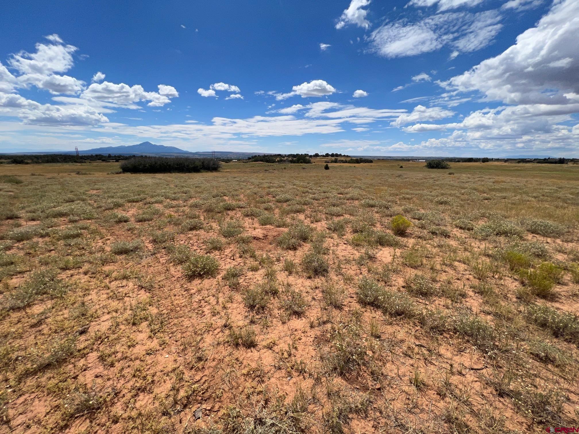 TBD Road 25, Dolores, CO 81323 Listing Photo  18