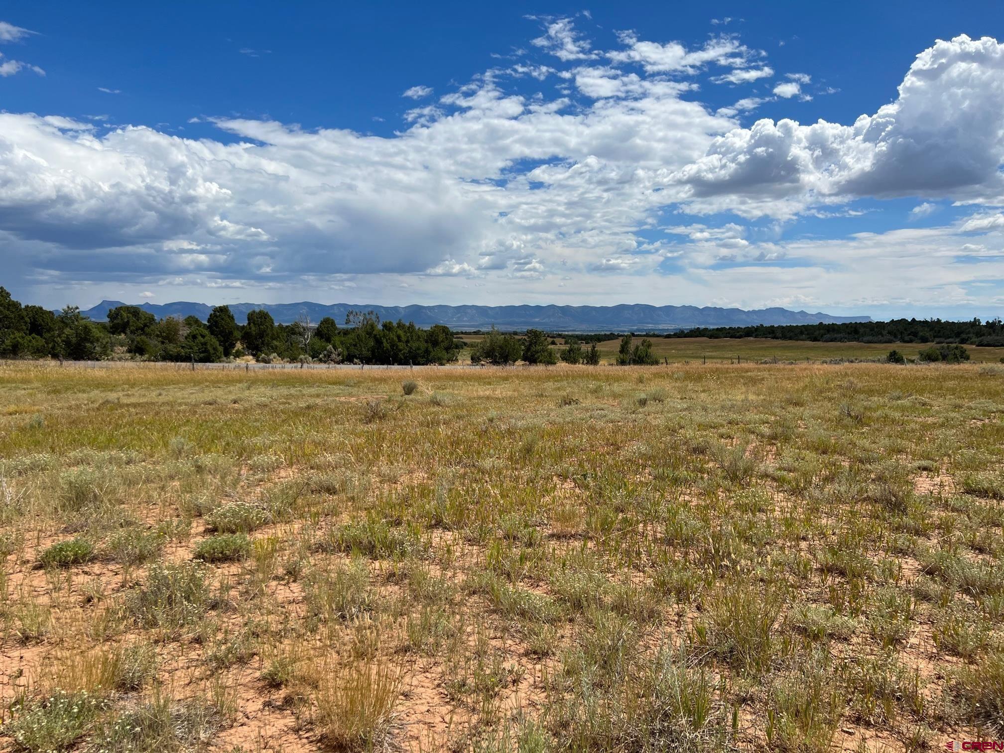 TBD Road 25, Dolores, CO 81323 Listing Photo  3