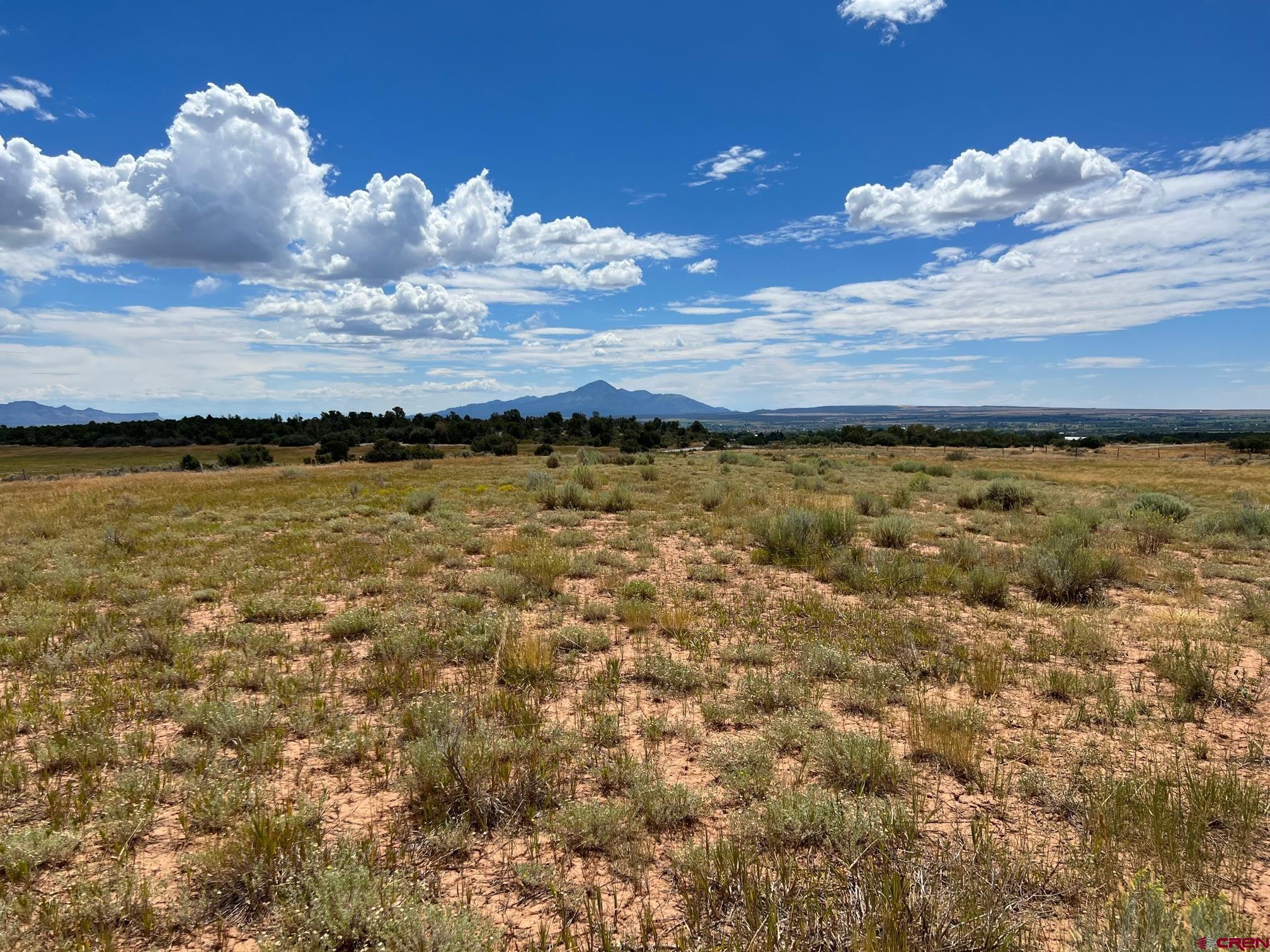 TBD Road 25, Dolores, CO 81323 Listing Photo  4