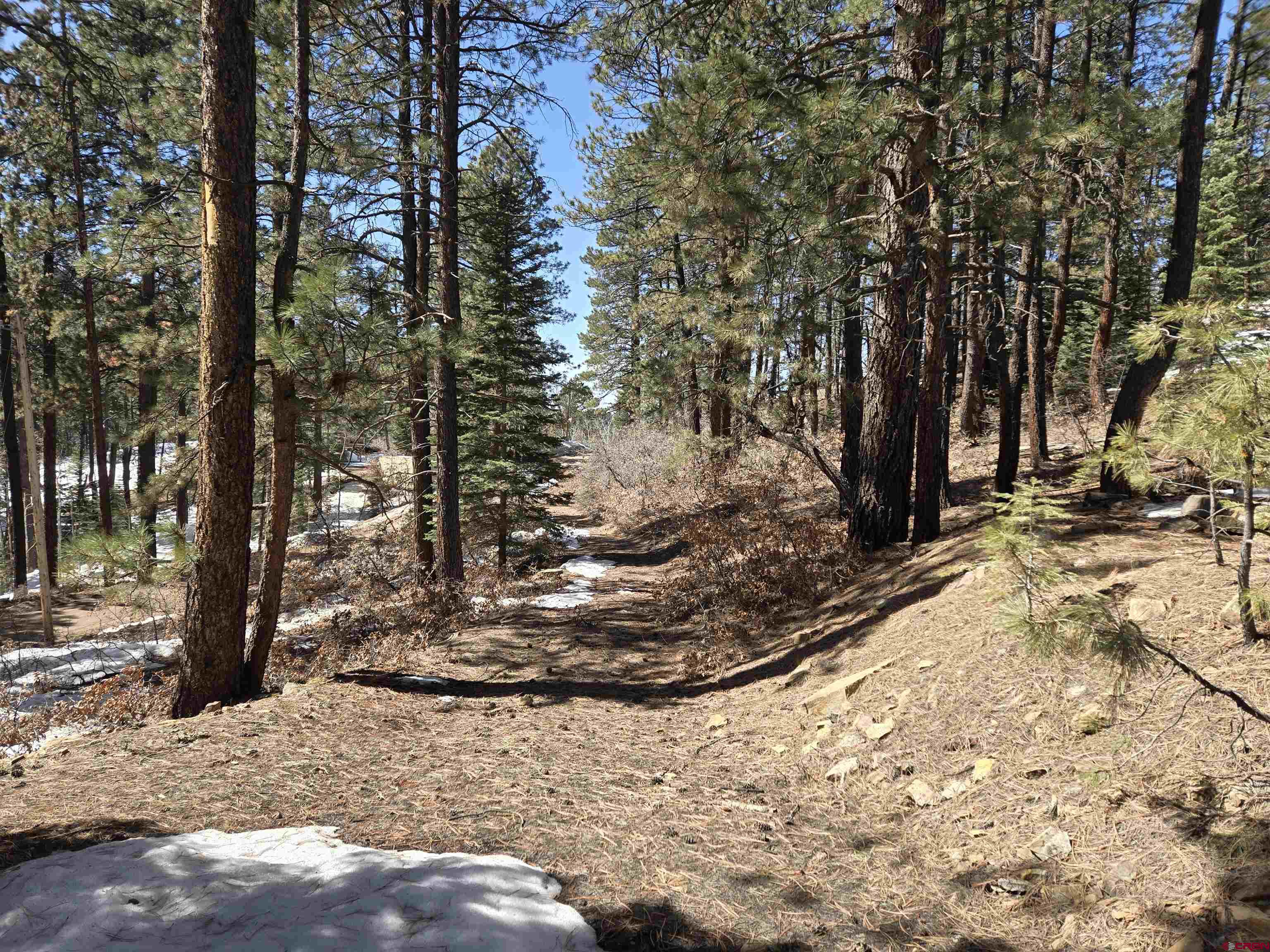 Featured Property Image
