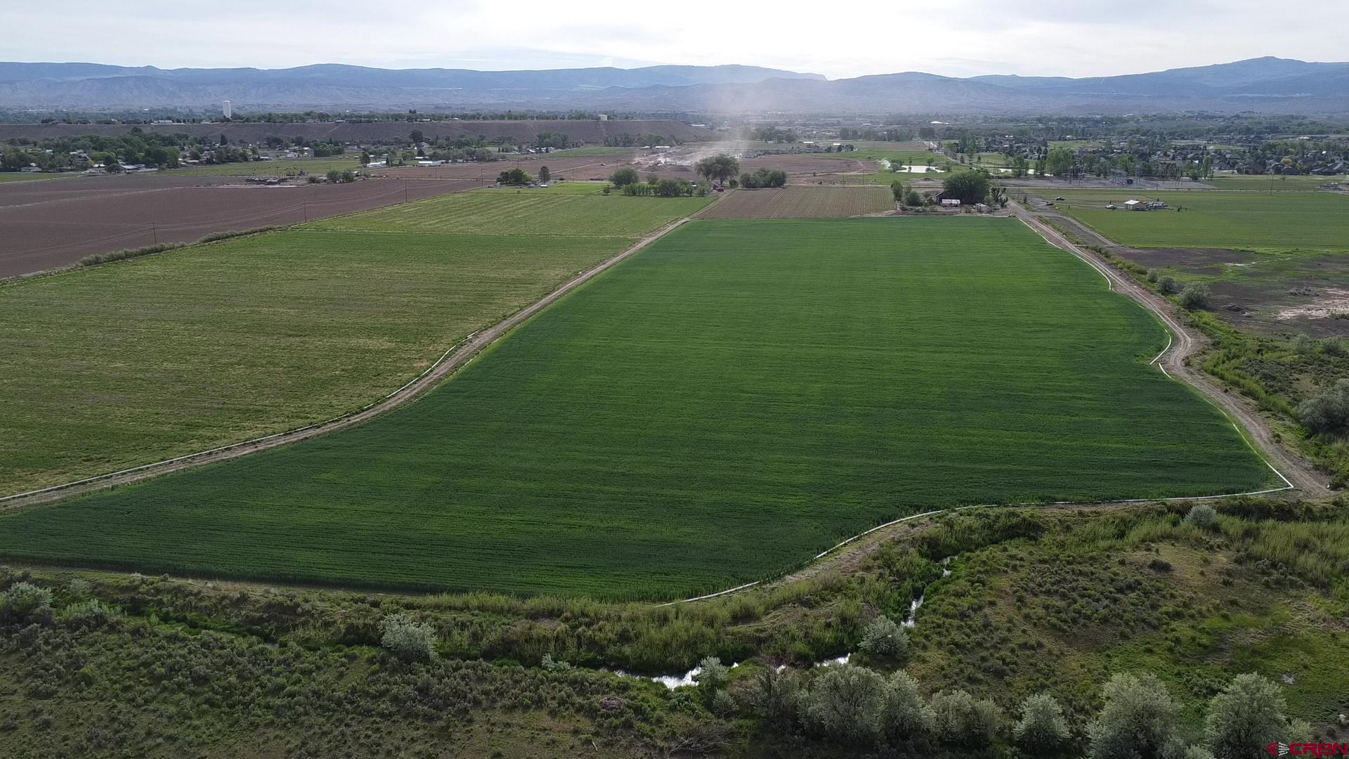 Got some cash to wisely invest in one of America's best communities? Looking for some of the highest quality irrigation water anywhere? Really want mountain views? How 'bout live water? Ready to move to a lower elevation where you can breathe, bring your animals and access shopping and an airport easily? Then it's time to come and see this 68.8 acre parcel, which touches the Cobble Creek Golf Course on the SW edge of town. While it has been labeled Montrose Colorado's most significant future development parcels, it can serve so many needs. It's currently still in the County, but could easily be annexed into the City. The land is leased by a wonderful, reliable Ag tenant who lovingly cares for the land- maintaining the super low Ag taxes. This status can remain as long as you'd like-making the property the perfect buy and hold, 1031 Exchange, or to sit on while you figure out what to do! The views are great, and the access to water from (the real)Cobble Creek, Happy Canyon Creek and Uncompahgre Valley Water Users irrigation water add important future options for developers as well as farmers/ranchers and homeowners. You can't beat the NRCS irrigation system-installed just a few years back-making the watering system efficient and problem-free. The property is already in two legal parcels, but can be subdivided without going through the full subdivision process. Too big? Buy it all-sell off what you don't want over time, and get the land for your future mini-ranch for free! Great access off of 6400 Road-the paved road leading north/south on the west side of Cobble Creek, as well as Orange Road along its southern boundary. Call agent and Montrose County for additional ideas. This is the Real Deal!! Note:  Seller is willing to carry at terms that are a win for everyone.