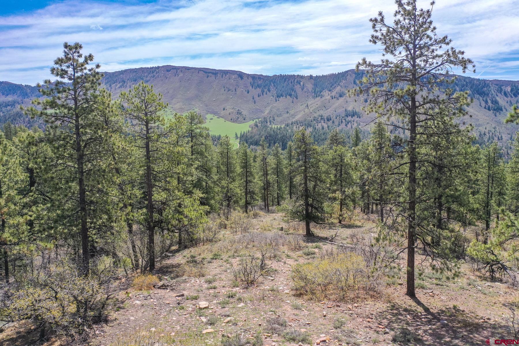 339 Big Bear Trail, Durango, CO 81301