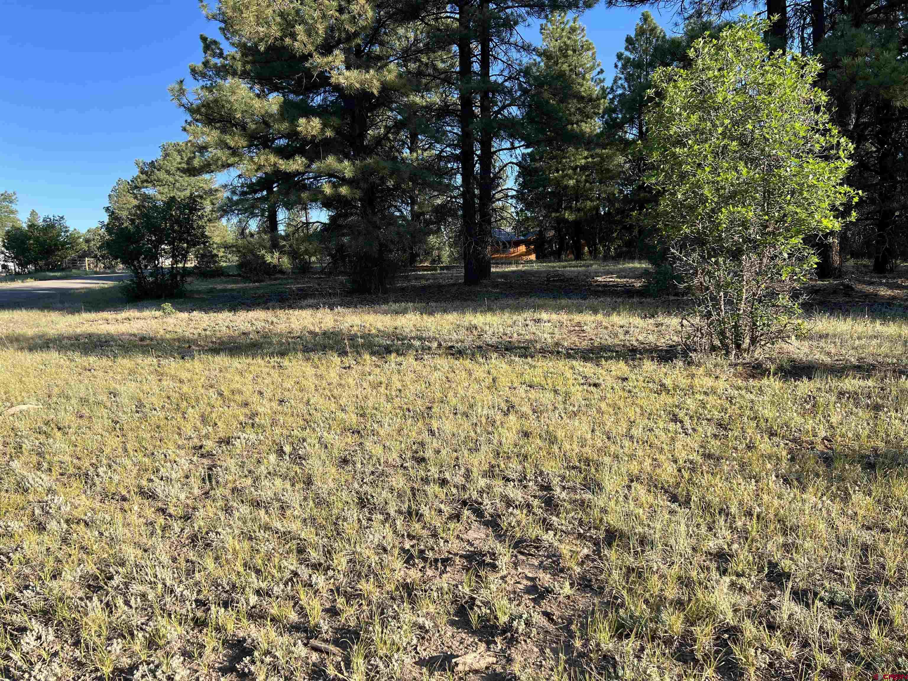 1336 Buttress Avenue, Pagosa Springs, CO 81147 Listing Photo  1