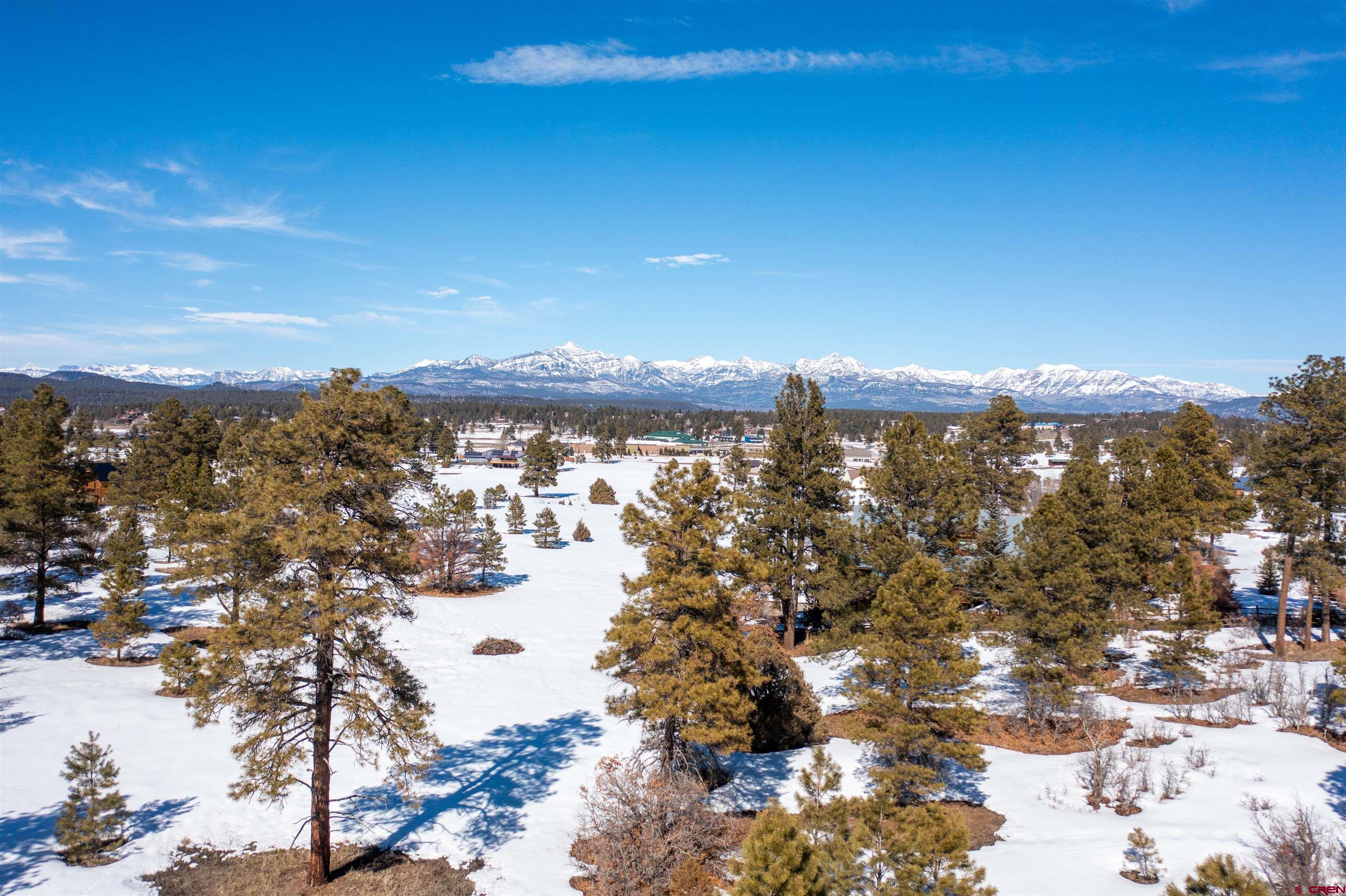 1362 Cool Pines Drive, Pagosa Springs, CO 81147 Listing Photo  29
