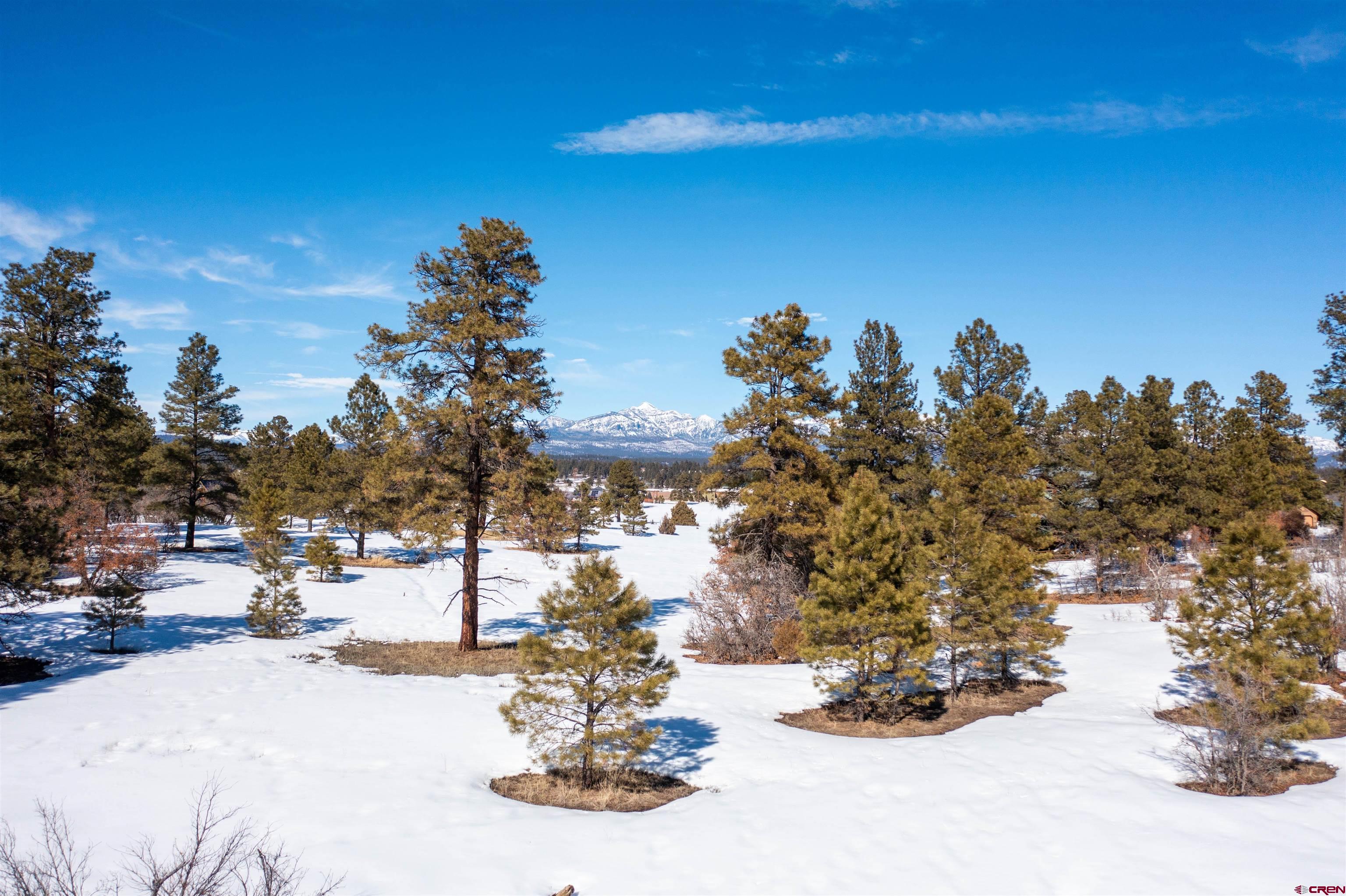1362 Cool Pines Drive, Pagosa Springs, CO 81147 Listing Photo  33