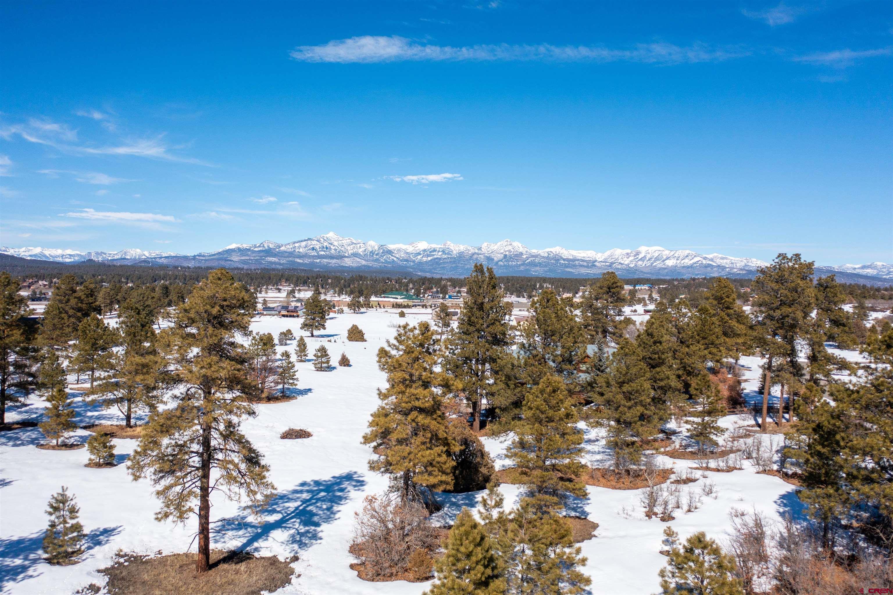1362 Cool Pines Drive, Pagosa Springs, CO 81147 Listing Photo  34