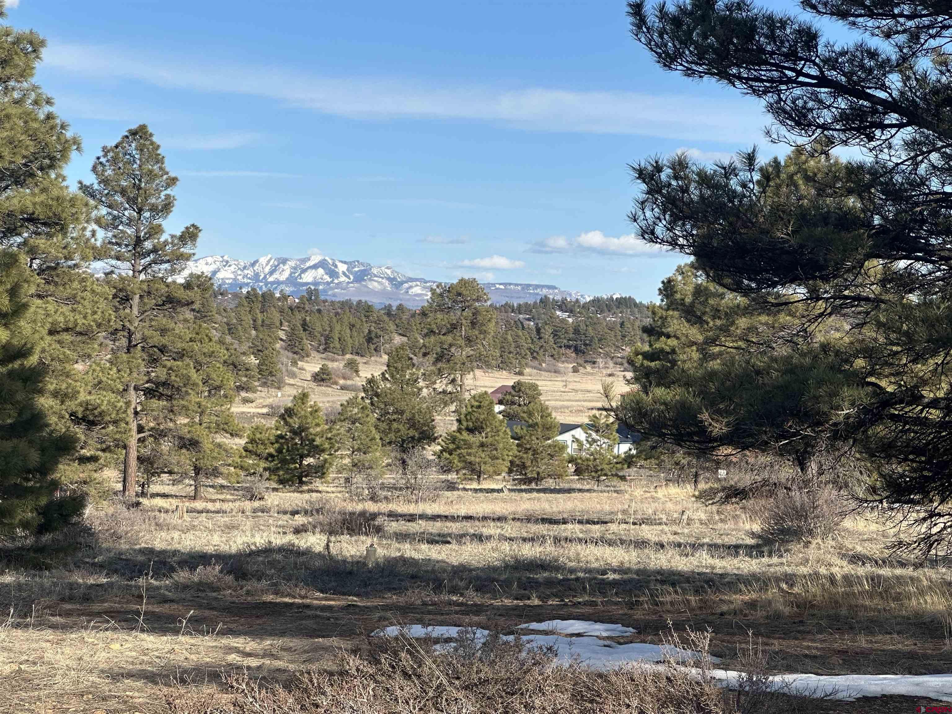 748 Trails Boulevard, Pagosa Springs, CO 81147 Listing Photo  1