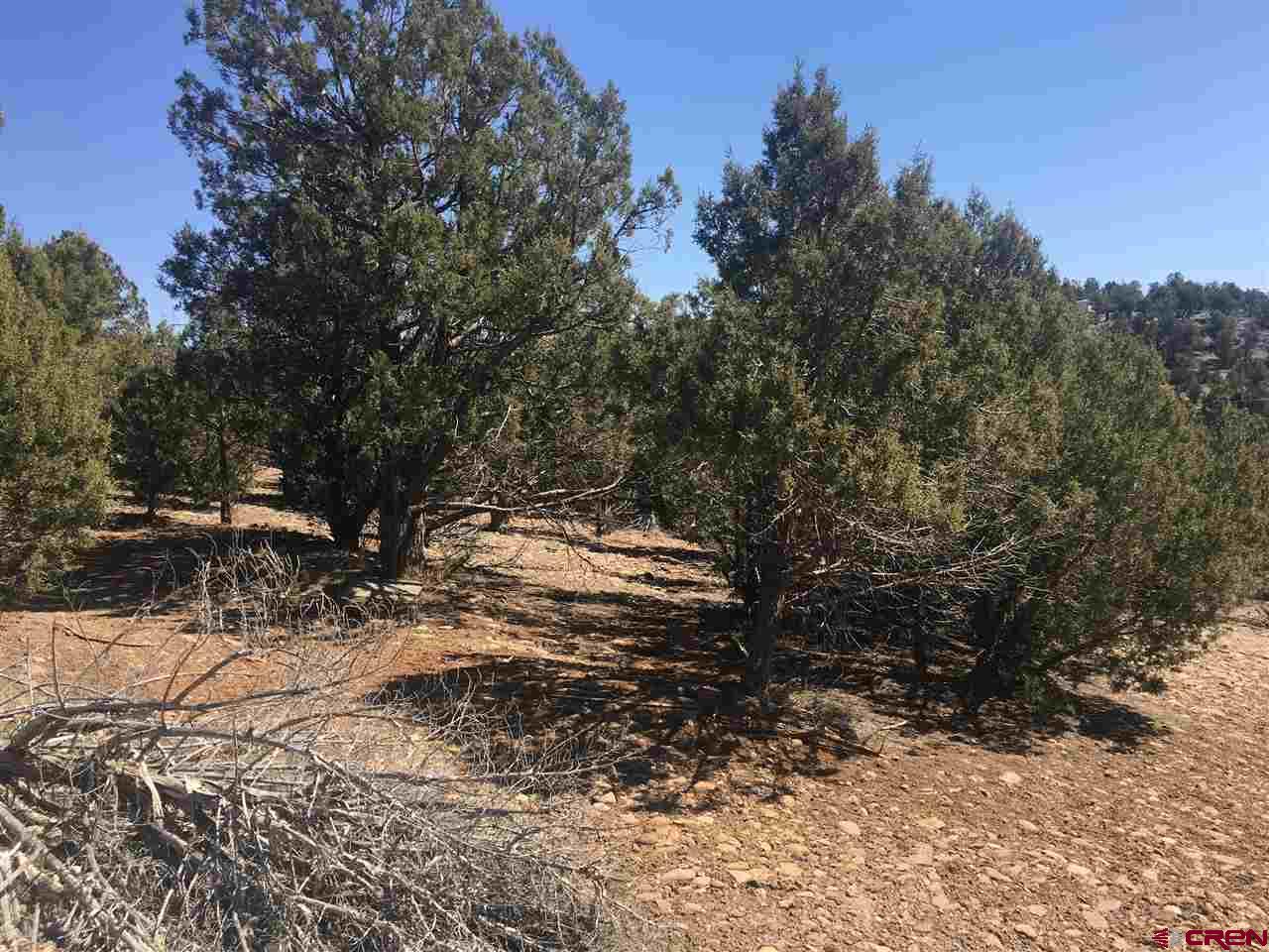 17827 State Hwy 151, Arboles, CO 81121 Listing Photo  2
