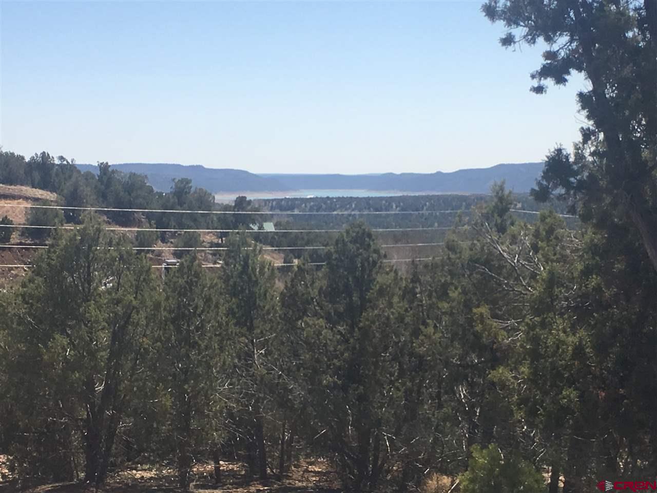 17827 State Hwy 151, Arboles, CO 81121 Listing Photo  4