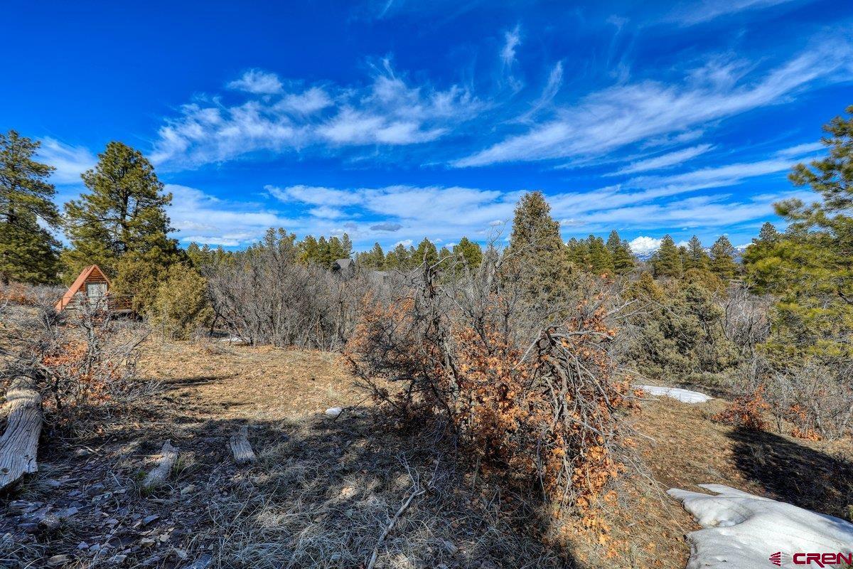 829 Buttress Avenue, Pagosa Springs, CO 81147 Listing Photo  16