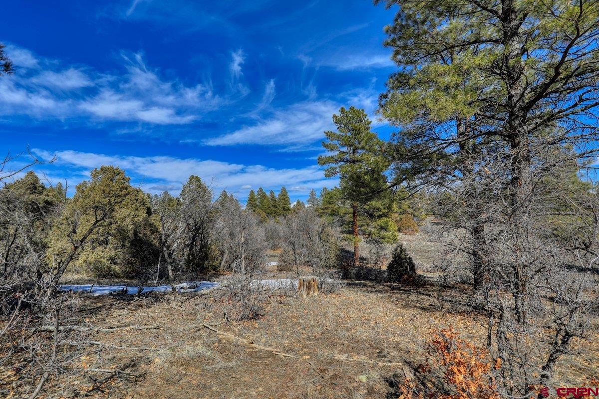 829 Buttress Avenue, Pagosa Springs, CO 81147 Listing Photo  18