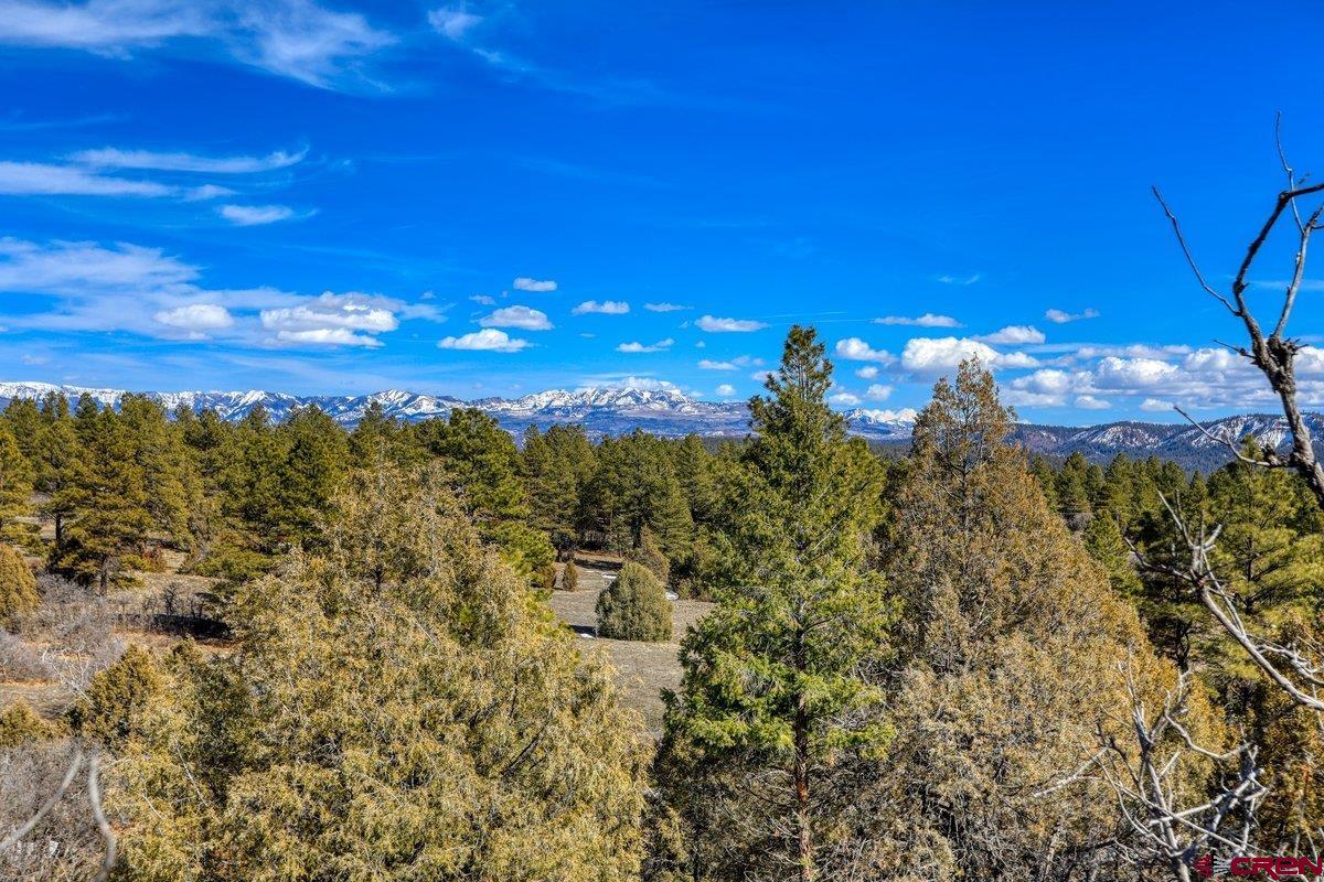 829 Buttress Avenue, Pagosa Springs, CO 81147 Listing Photo  28