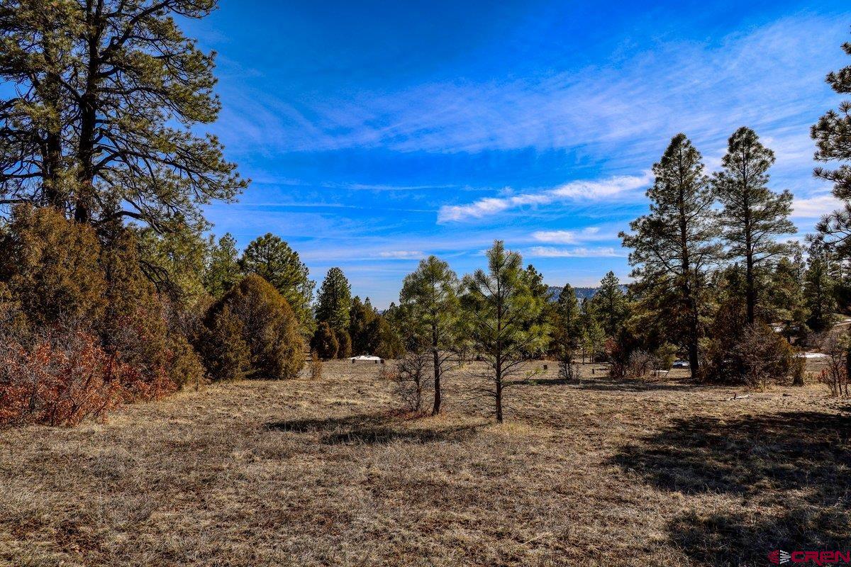 829 Buttress Avenue, Pagosa Springs, CO 81147 Listing Photo  31