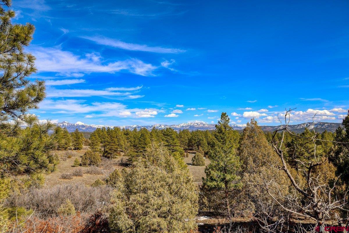 829 Buttress Avenue, Pagosa Springs, CO 81147 Listing Photo  33