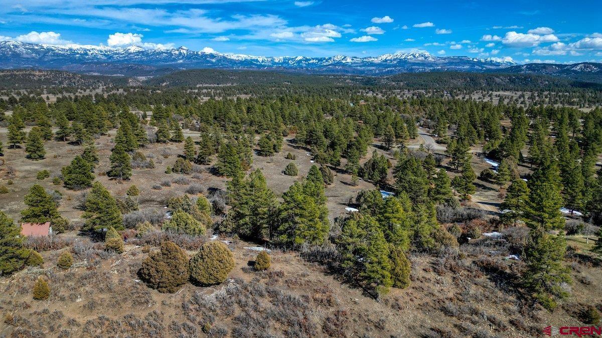 829 Buttress Avenue, Pagosa Springs, CO 81147 Listing Photo  5
