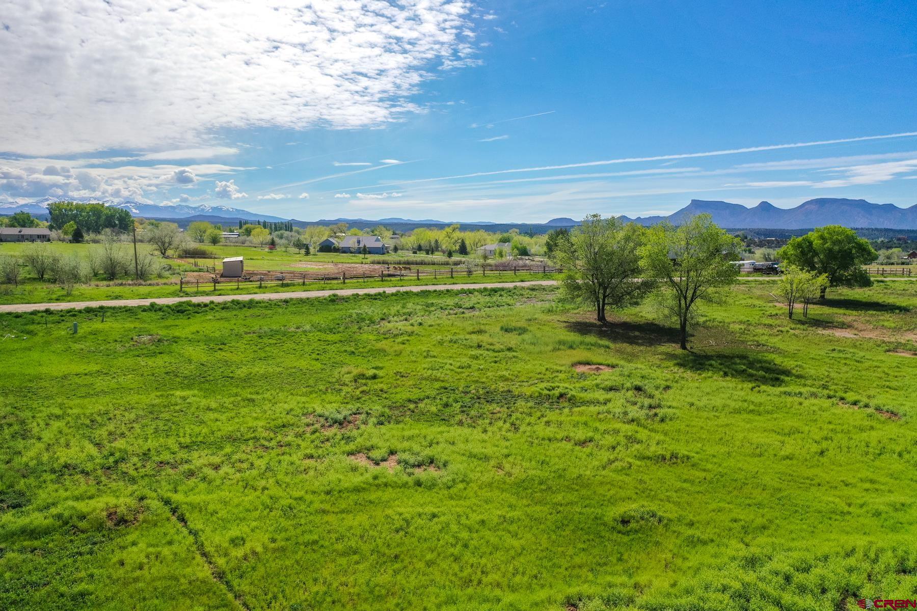 Lot 19 Road 28.3, Dolores, CO 81323 Listing Photo  4