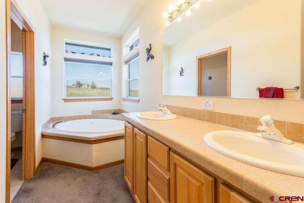 14250 S Ouray Court, Collbran, CO 81624 Listing Photo  10