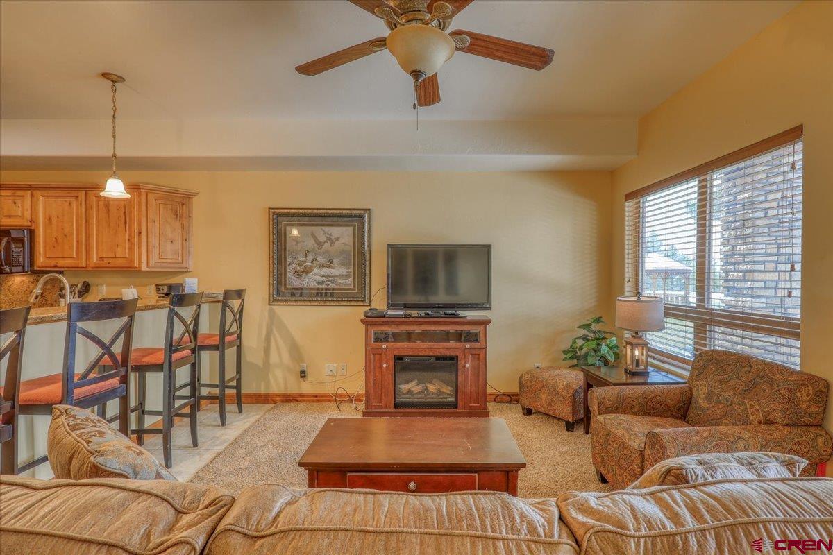 109 Ace Court, #102, Pagosa Springs, CO 81147 Listing Photo  25