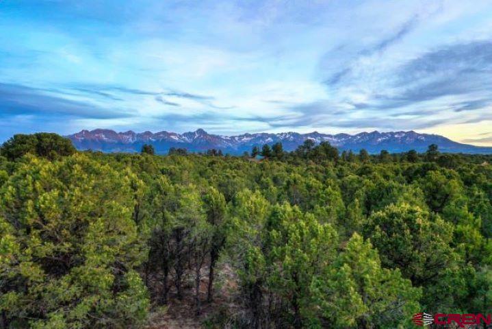 Incredible opportunity to own almost 5 acres (4.83) nestled in the pines in Loghill Village.  There are beautiful views of both the San Juans (including Sneffels) and the Cimarron Mountain Ranges.  The elevated ariel shots show just how stunning the views will be from your second story home.  The road is paved almost all the way with the exception of a little gravel on Tower Road N.  Power, Water, NatGas to the lot line.  There is a roughed in driveway to the potential homesite.  HOA fees are $100/year optional.  These fees go towards maintaining the deer trails and walking paths.  Check this beauty out....