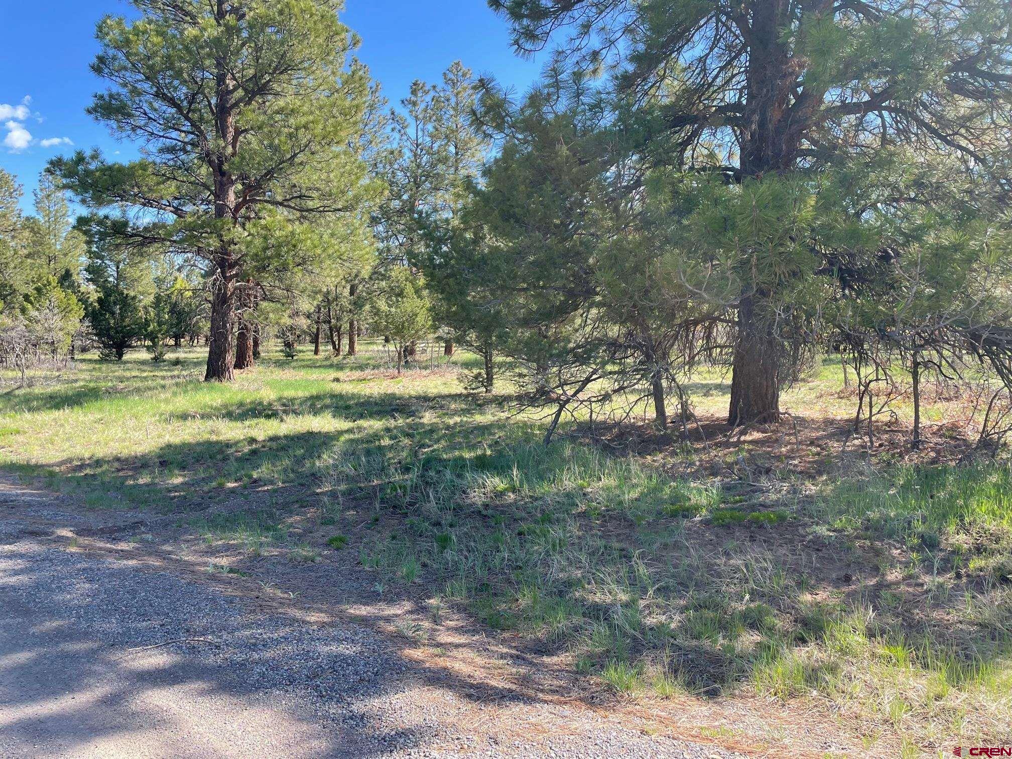 Generous one acre + corner lot in the Divide Ranch and Club Golf Course community. Level building site, nicely treed. Golf membership is included. The lot is a short walk to the beautiful clubhouse.  The stunning views, patio, bar and grill make for a relaxing golf experience. Paved roads, utilities to the lot line. One of the nicest mountain courses in the state of Colorado. Divide Ranch and Club is 45 mins away from world class skiing in Telluride, close to the Montrose airport, fly fishing, Ridgway State Park and Reservoir, boating, paddle board, kayaking and water skiing. Camping, jeeping, ice climbing, in the City of Ouray, the Little Switzerland of America.  This area is truly one the most beautiful areas in the State of Colorado. The Town of Ridgway, where the movie True Grit was filmed, has a beautiful Town park and play ground. Library, bike path to the reservoir past Dennis Weaver Park, shops, restaurants, bars and The Ridgway Railroad Museum. Wildlife is abundant.  The Million Dollar Highway, Alpine Loop and The Durango Silverton Narrow Gauge Train are all assessable.  Come build your dream home in this beautiful community.