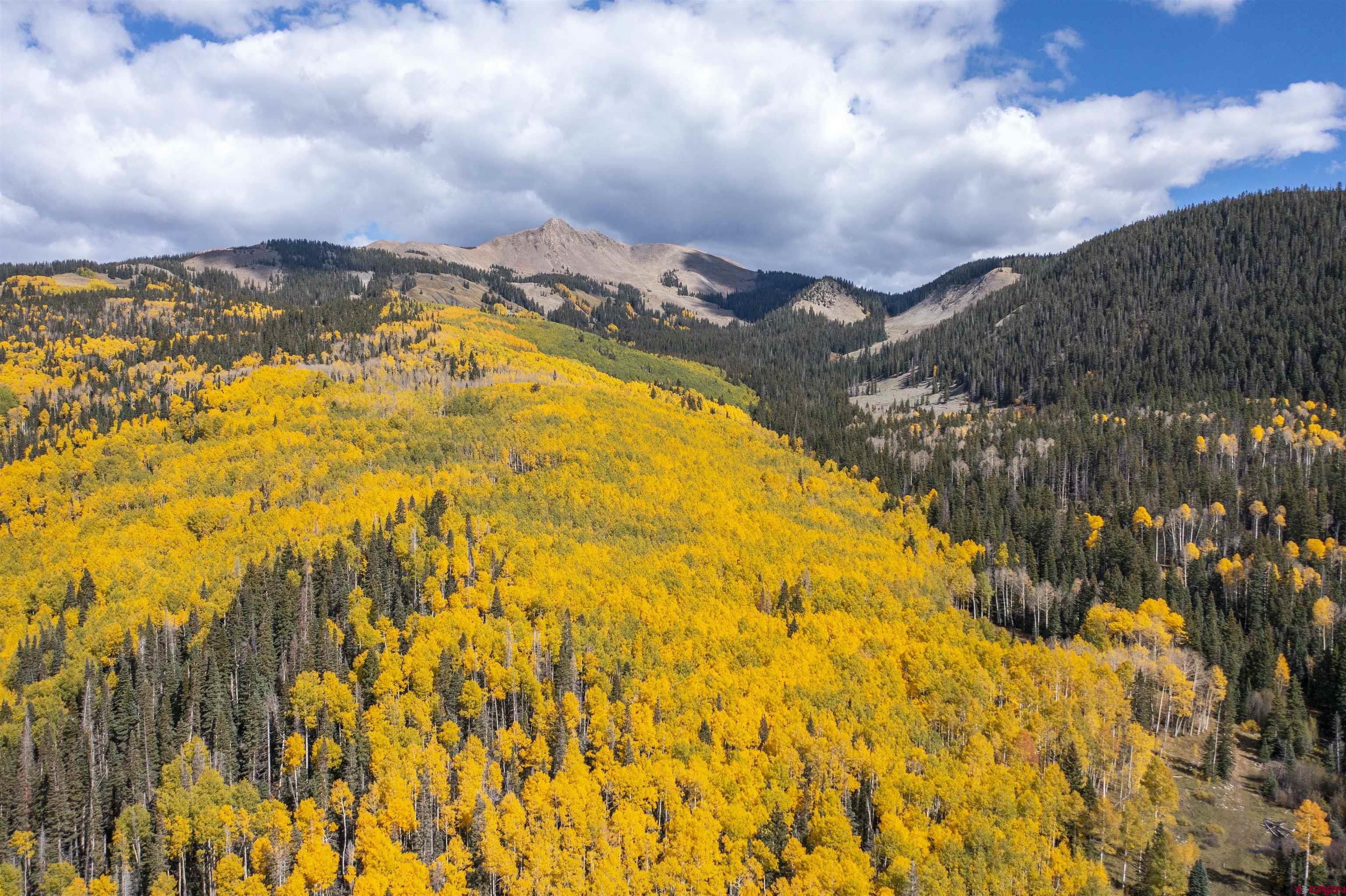 41763 H Road Cahone CO 81320 Active