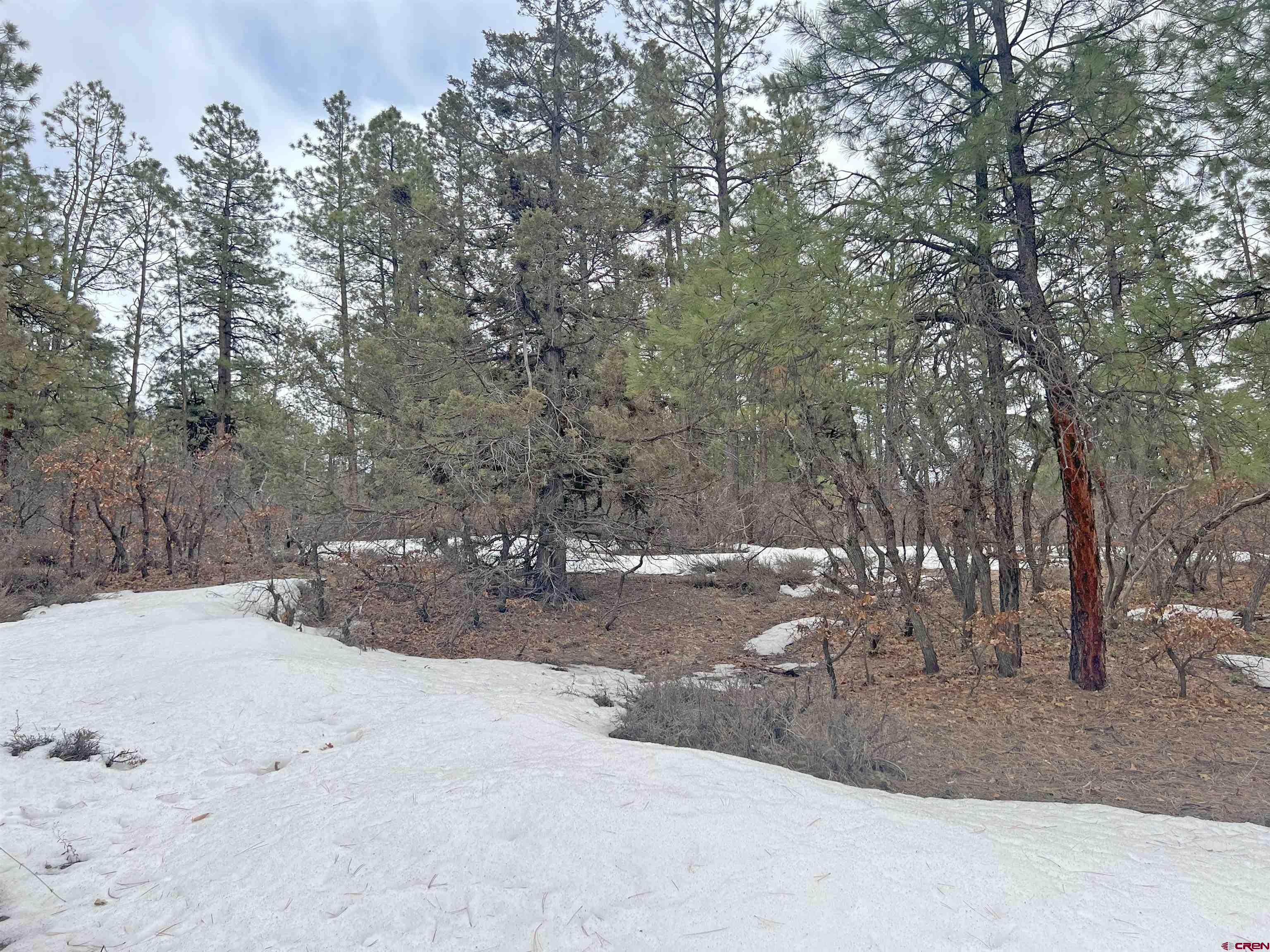 241 Wit's End Place, Pagosa Springs, CO 81147 Listing Photo  8