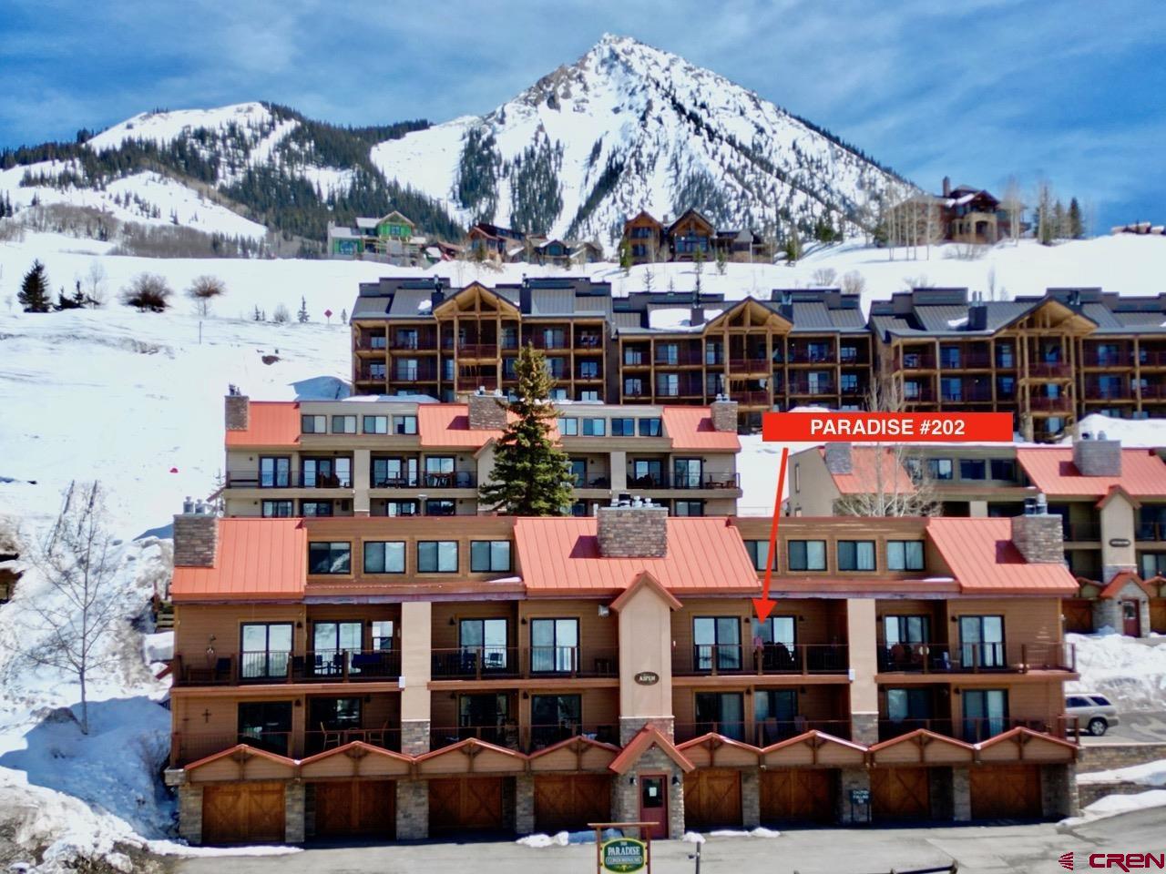 20 Hunter Hill Road, #202, Mt. Crested Butte, CO 81225 Listing Photo  1