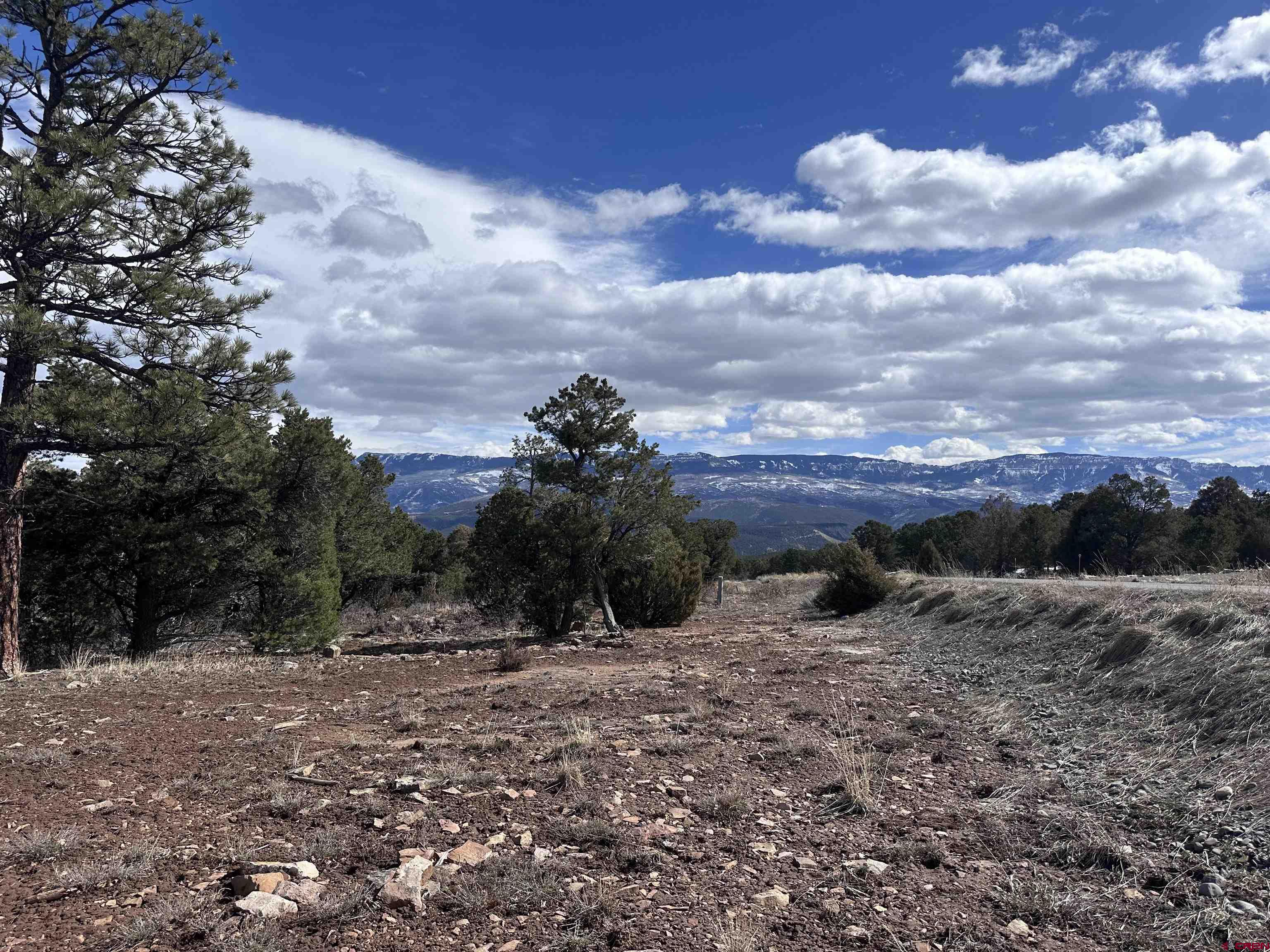 Not too big - not too small - this one is just right!  2+ acres on Loghill Mesa waiting for your home.  It's time to realize your dream of living in southwestern Colorado.  Owner financing is available here - contact me for the details!!  This parcel includes a PAID Dallas Creek water tap, with fiber internet, natural gas and electricity lines to property.  Now let's talk views....  The Cimarrons will take your breath away and you will love the Alpen Glow every night as the sun sets on the mountains.  Property does have a slight slope so it would be perfect for a walkout basement giving you first floor views as well as great 2nd floor views. It's the right time to start your adventure living here.  Just 15 minutes from Ridgway with the restaurants, shops and wonderful community.  30 minutes to Ouray - the Switzerland of America with the many hot springs and Box Canyon.  45 minutes to world class skiing in Telluride and just 30 minutes north to the newly expanded Montrose Regional Airport.  You will enjoy watching the wildlife wander through your property everyday.  See this one today and make it yours.