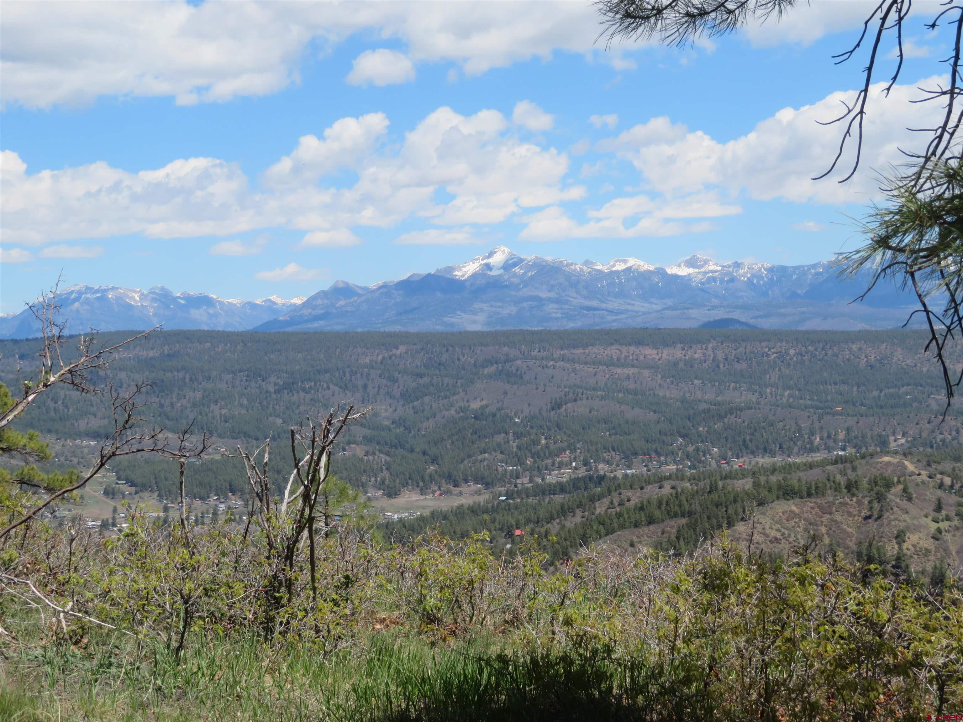 675 Far View, Pagosa Springs, CO 81147 Listing Photo  5