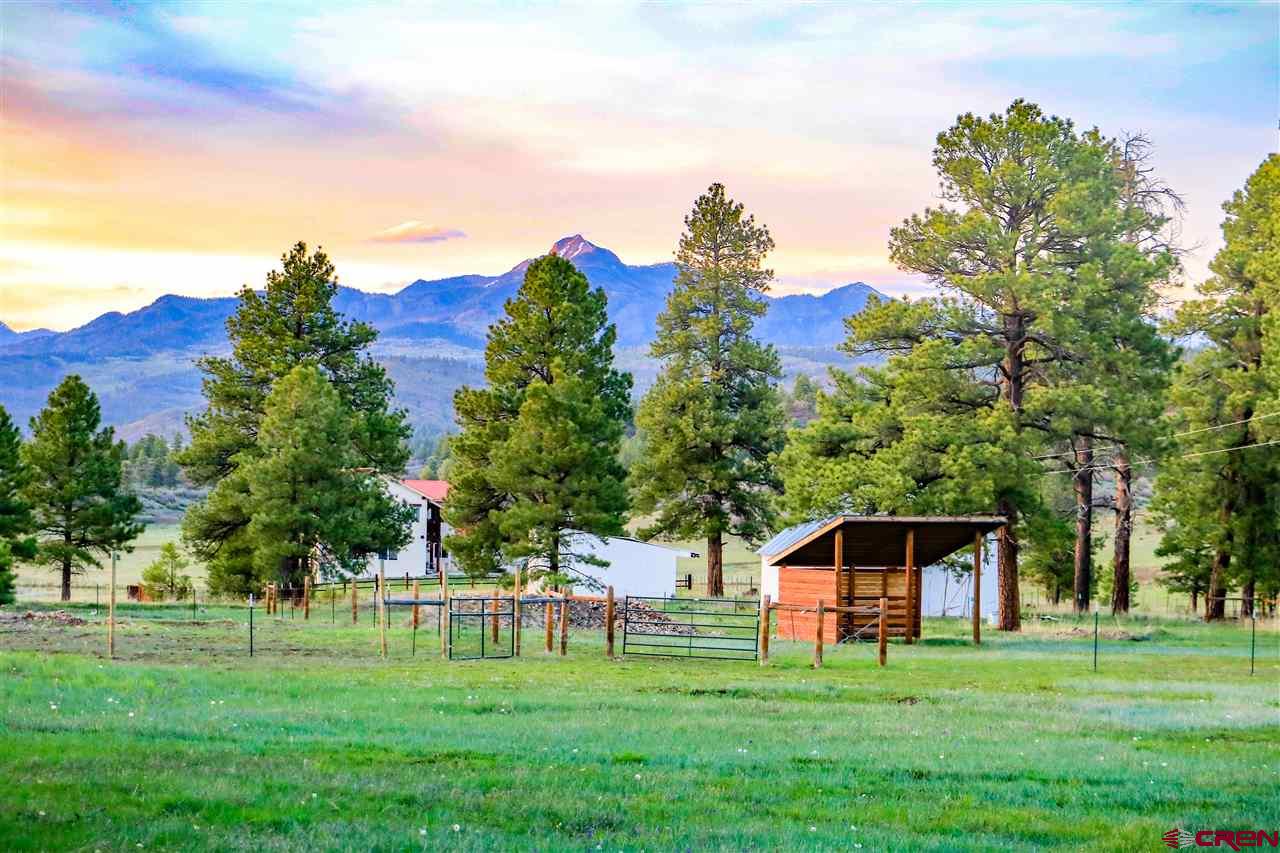 4193 County Road 600, Pagosa Springs, CO 81147 Listing Photo  33