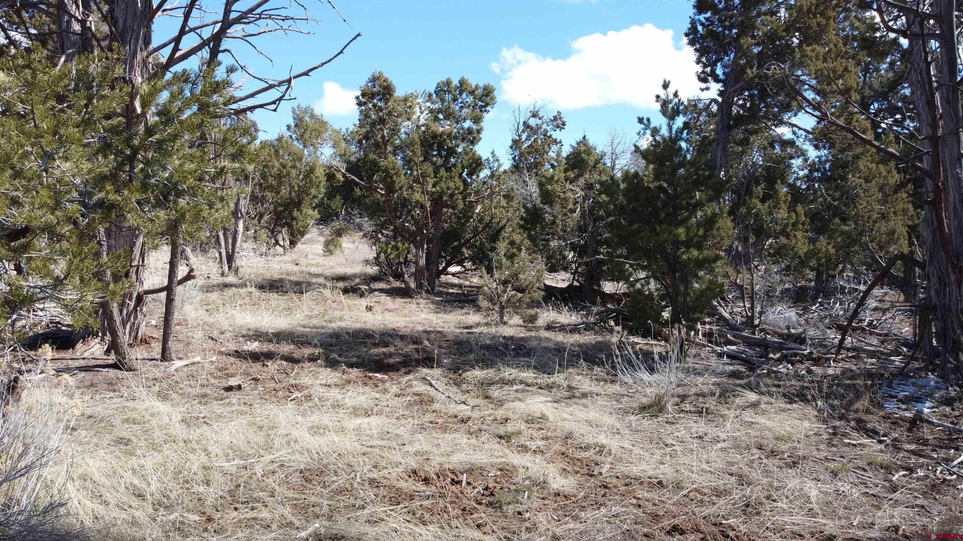 TBD RD. R Cahone CO 81320 Active