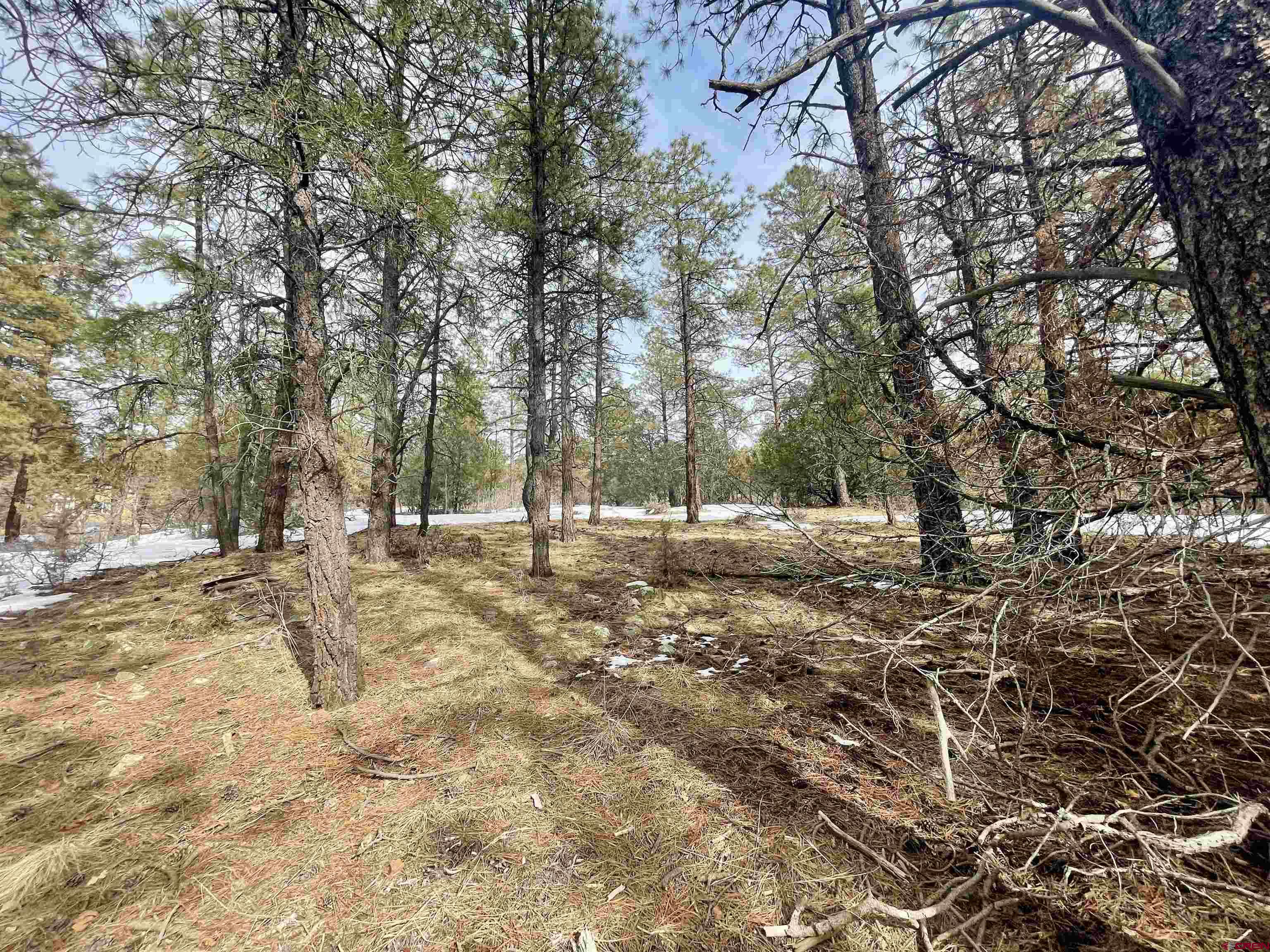 1259 Westview Road, Pagosa Springs, CO 81147 Listing Photo  3