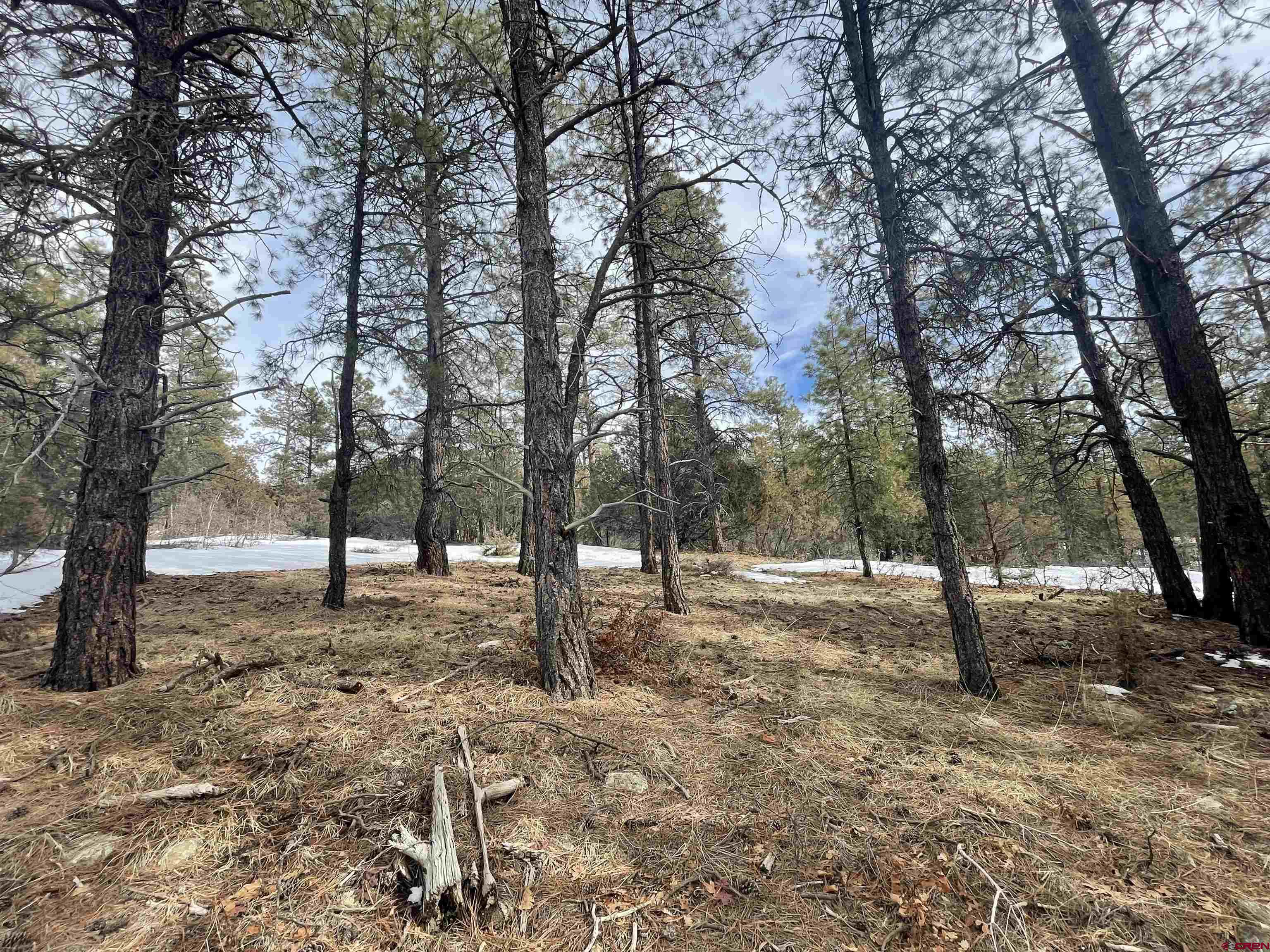 1259 Westview Road, Pagosa Springs, CO 81147 Listing Photo  4