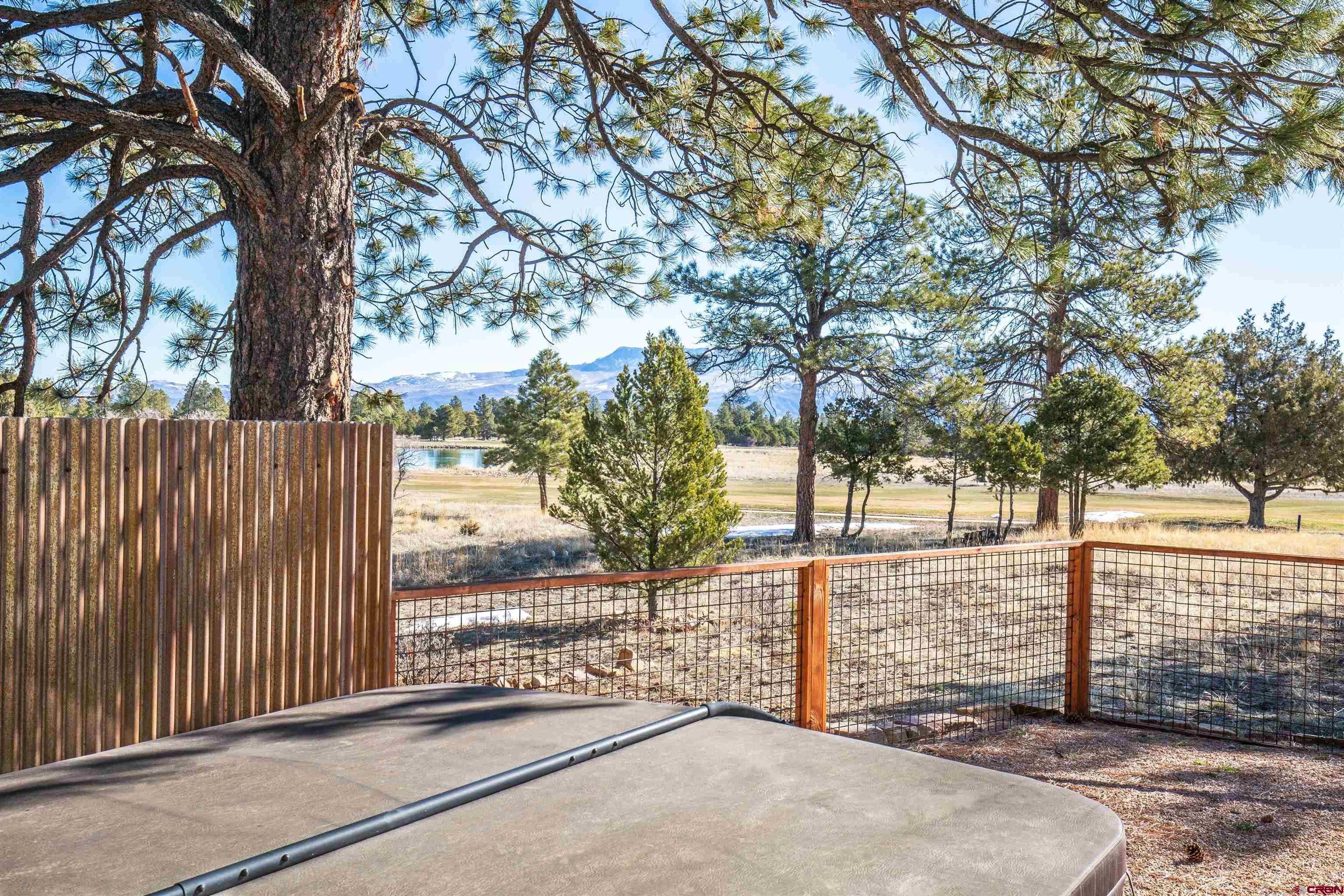 558 S Badger Trail, Ridgway, CO 81432 Listing Photo  18