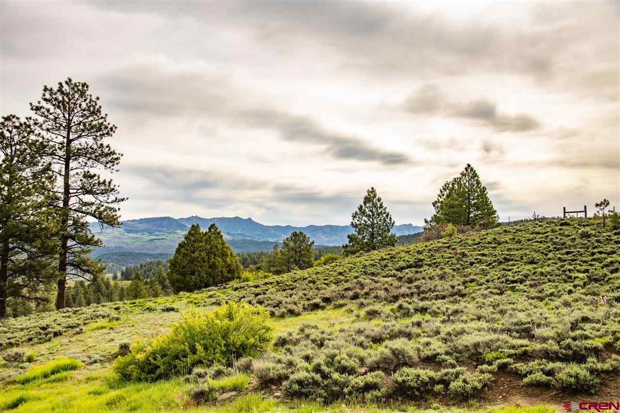 2000 County Road 359, Pagosa Springs, CO 81147 Listing Photo  14