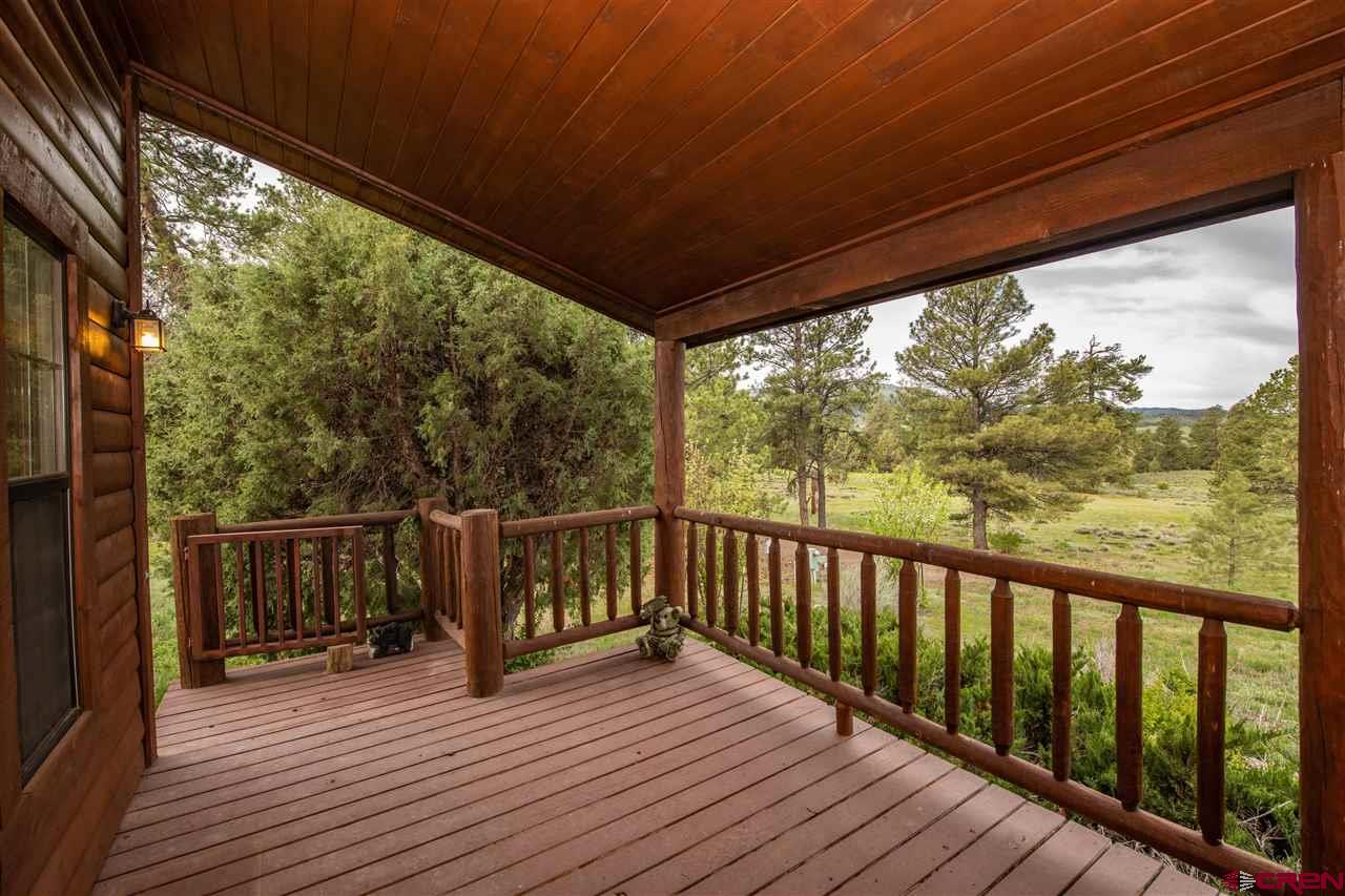 2000 County Road 359, Pagosa Springs, CO 81147 Listing Photo  15