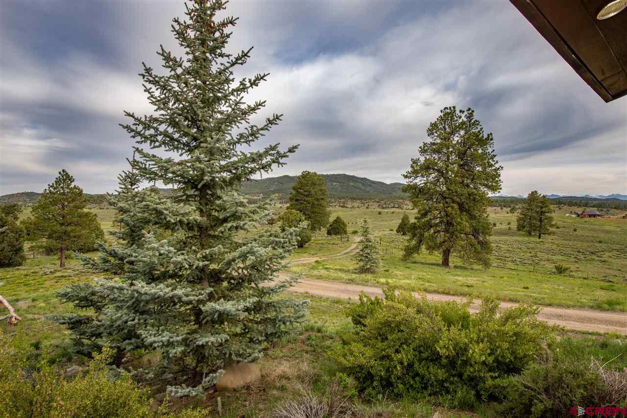 2000 County Road 359, Pagosa Springs, CO 81147 Listing Photo  17