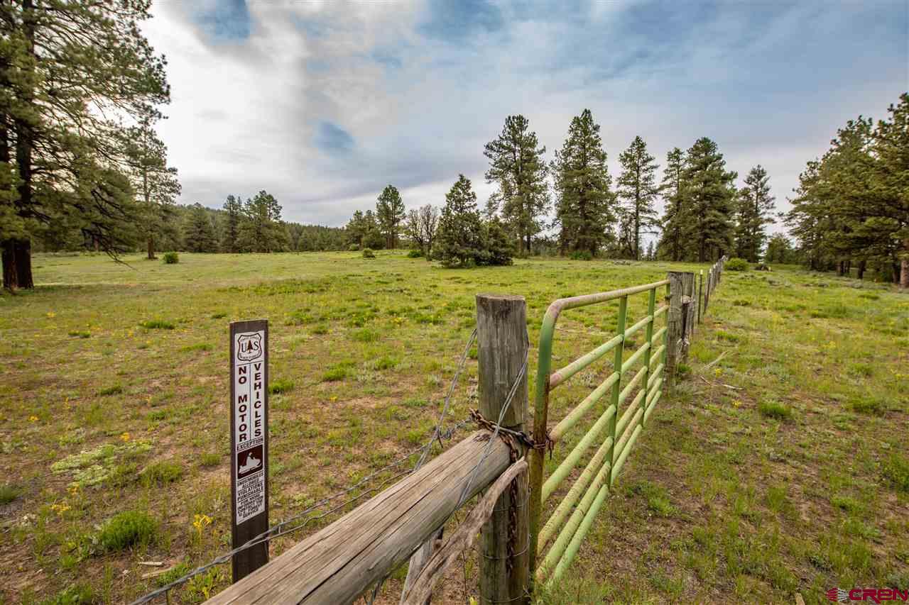 2000 County Road 359, Pagosa Springs, CO 81147 Listing Photo  3